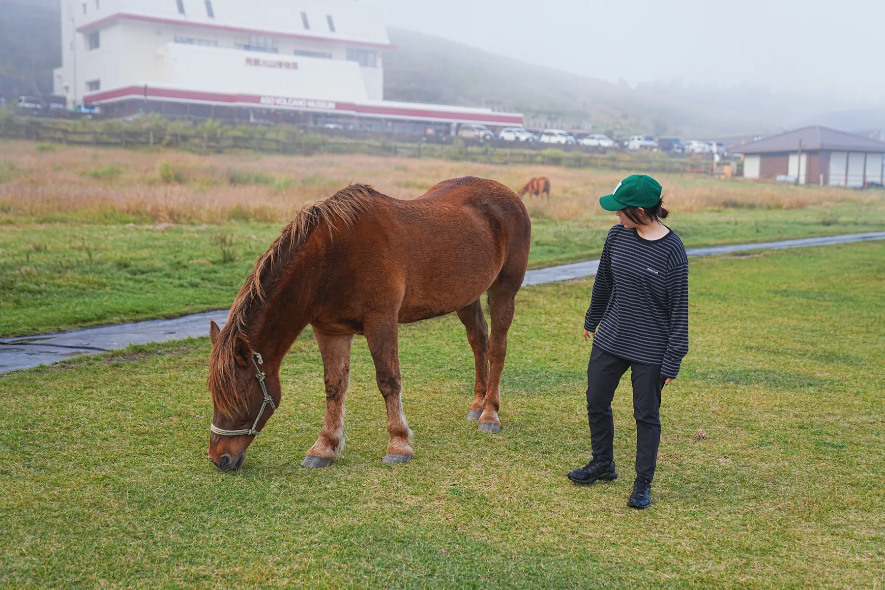 雨の九重からの阿蘇草千里！法華院温泉宿泊レポート