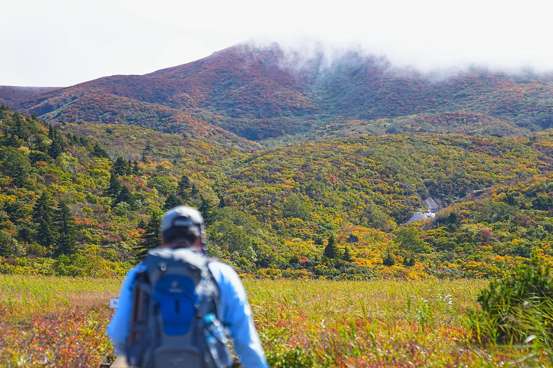 紅葉に染まる 東北・栗駒山 紅葉ハイキング