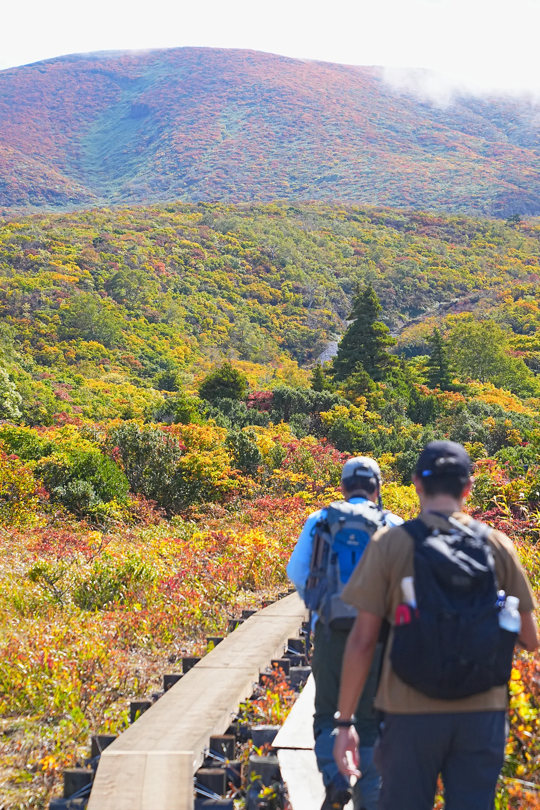 紅葉に染まる 東北・栗駒山 紅葉ハイキング