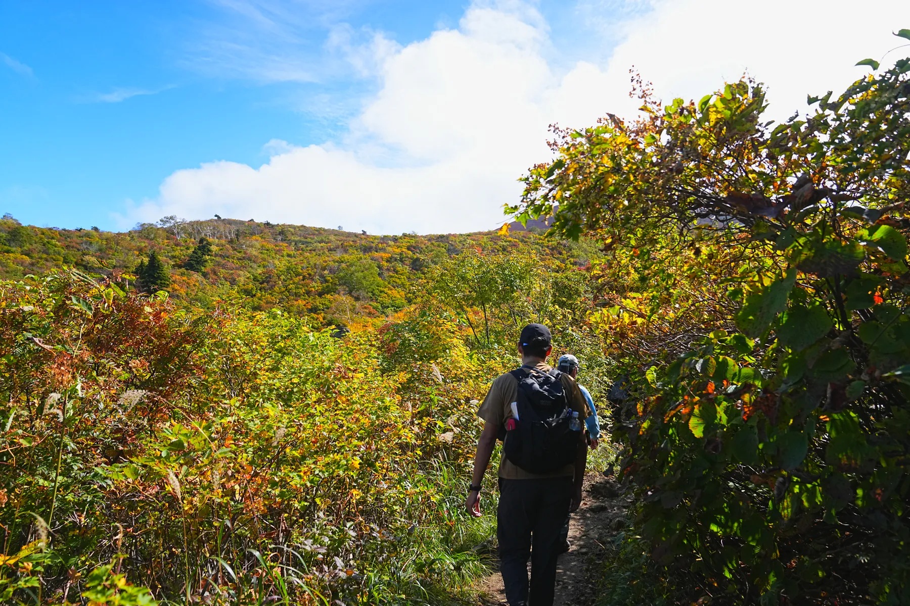 紅葉に染まる 東北・栗駒山 紅葉ハイキング