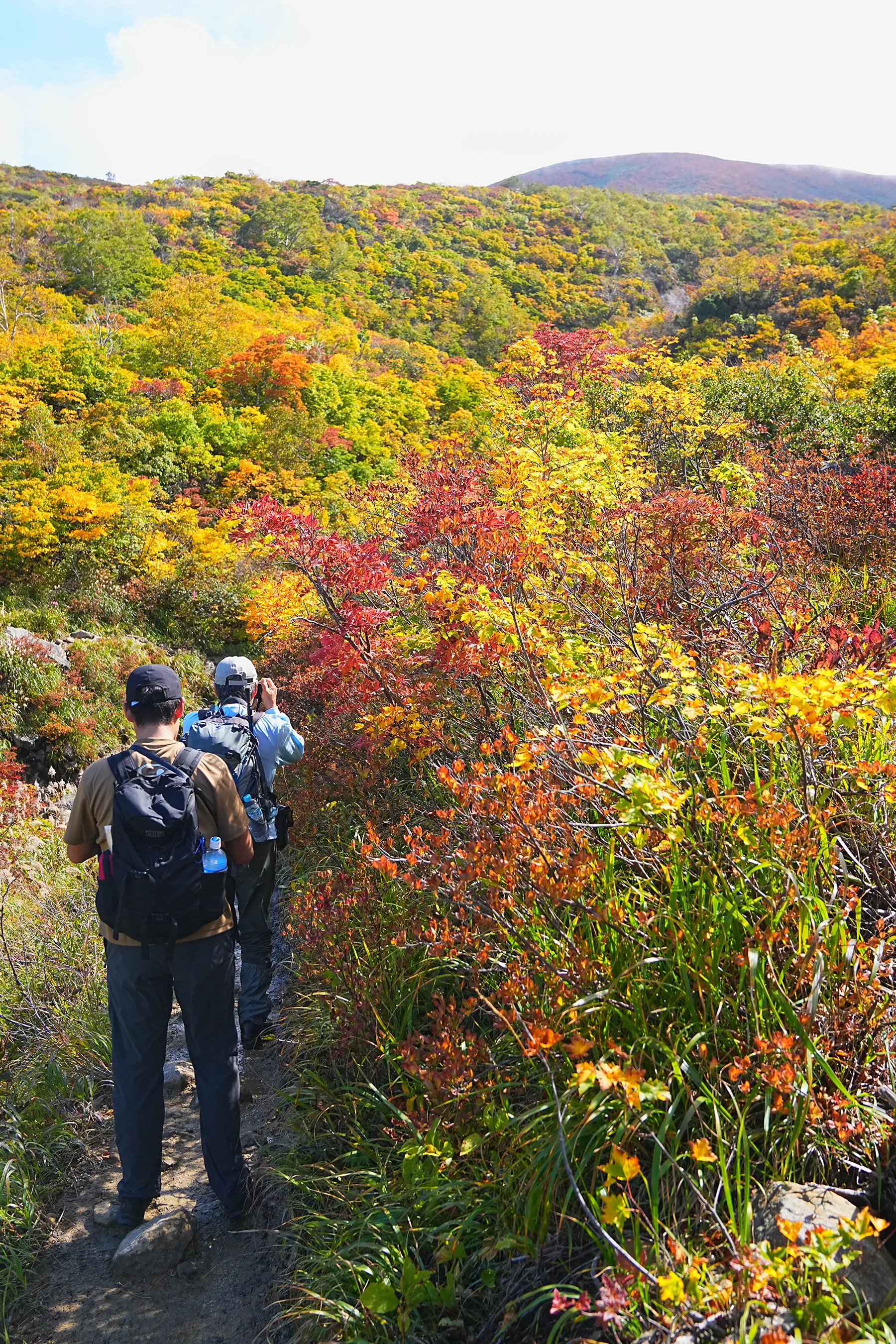 紅葉に染まる 東北・栗駒山 紅葉ハイキング