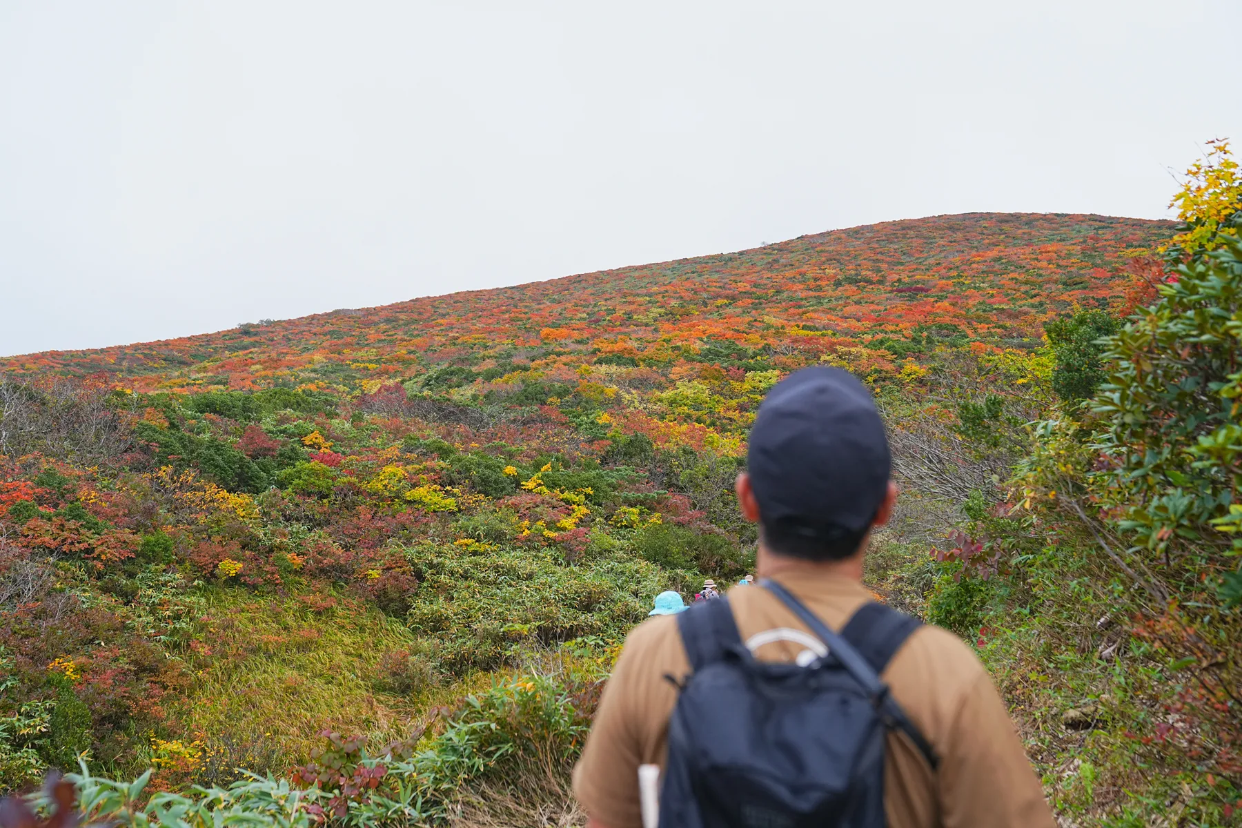 紅葉に染まる 東北・栗駒山 紅葉ハイキング