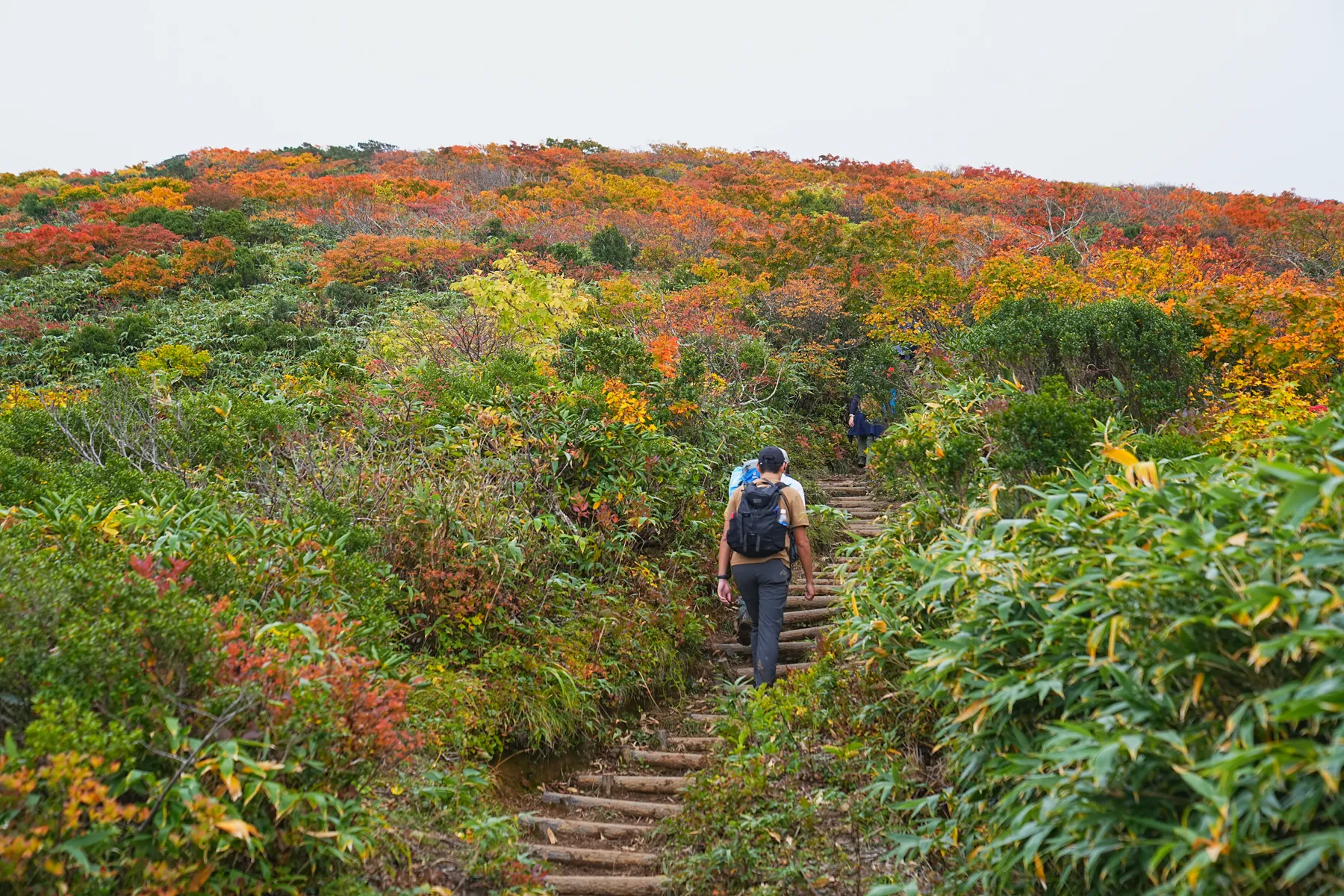 紅葉に染まる 東北・栗駒山 紅葉ハイキング