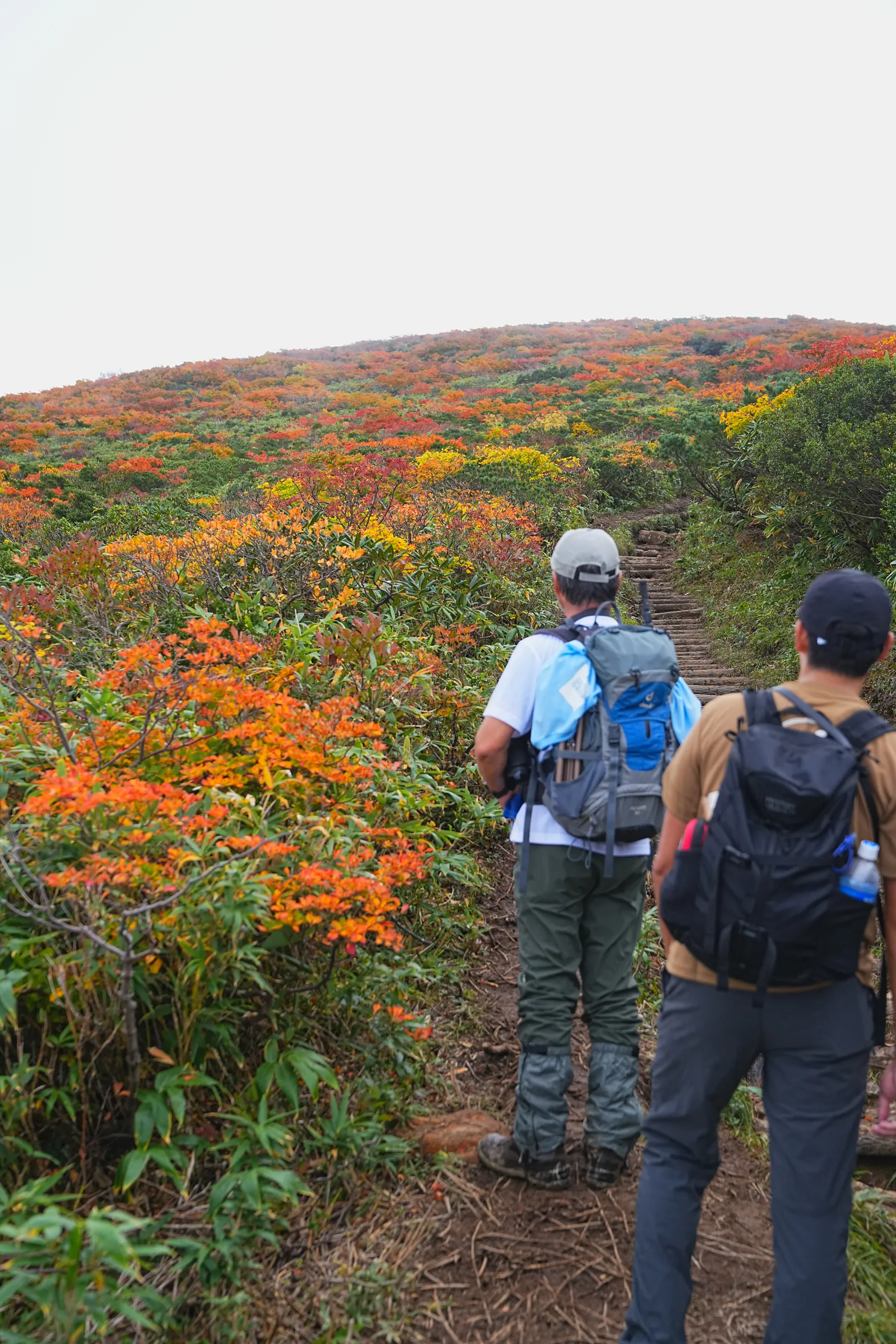 紅葉に染まる 東北・栗駒山 紅葉ハイキング