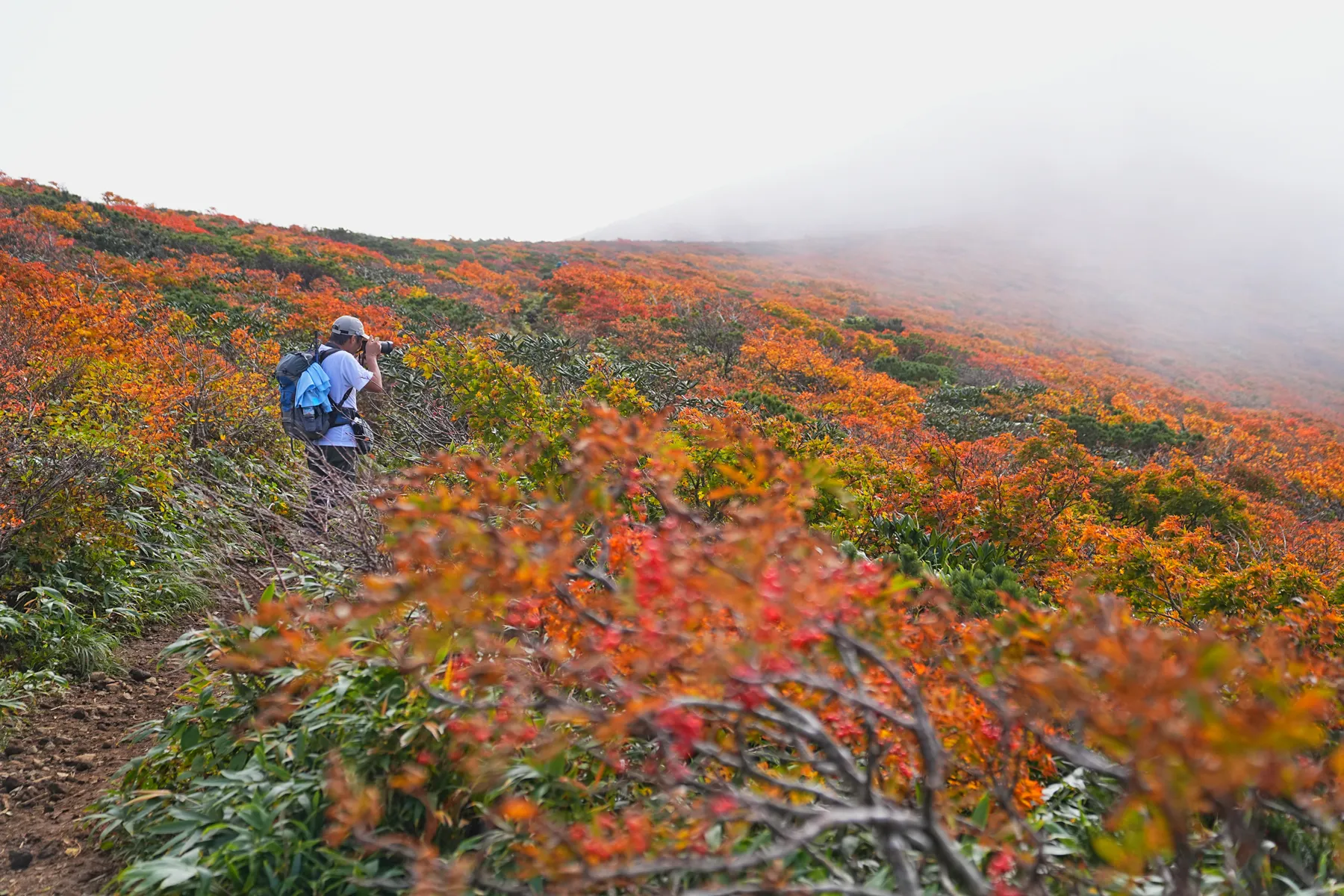 紅葉に染まる 東北・栗駒山 紅葉ハイキング