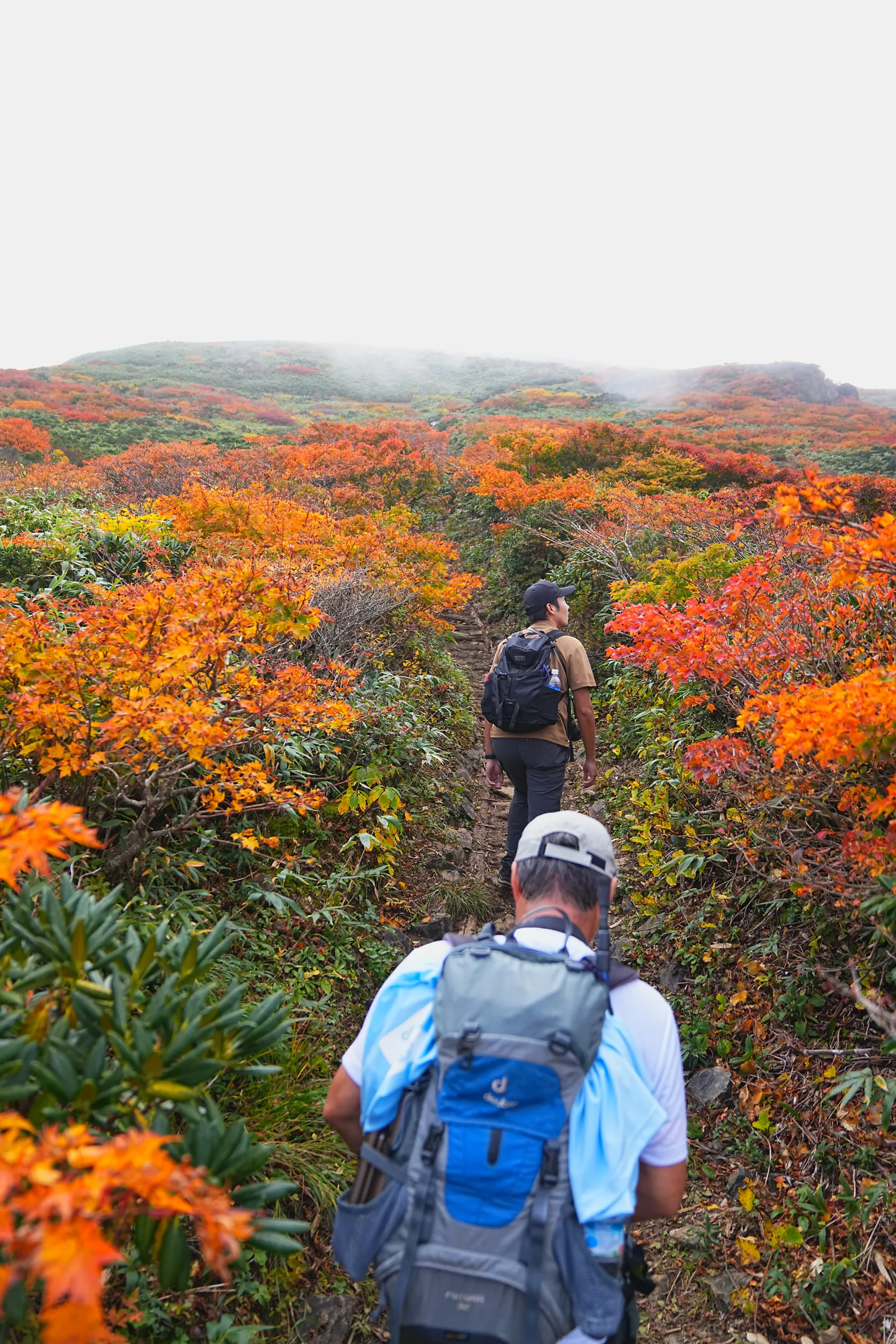 紅葉に染まる 東北・栗駒山 紅葉ハイキング