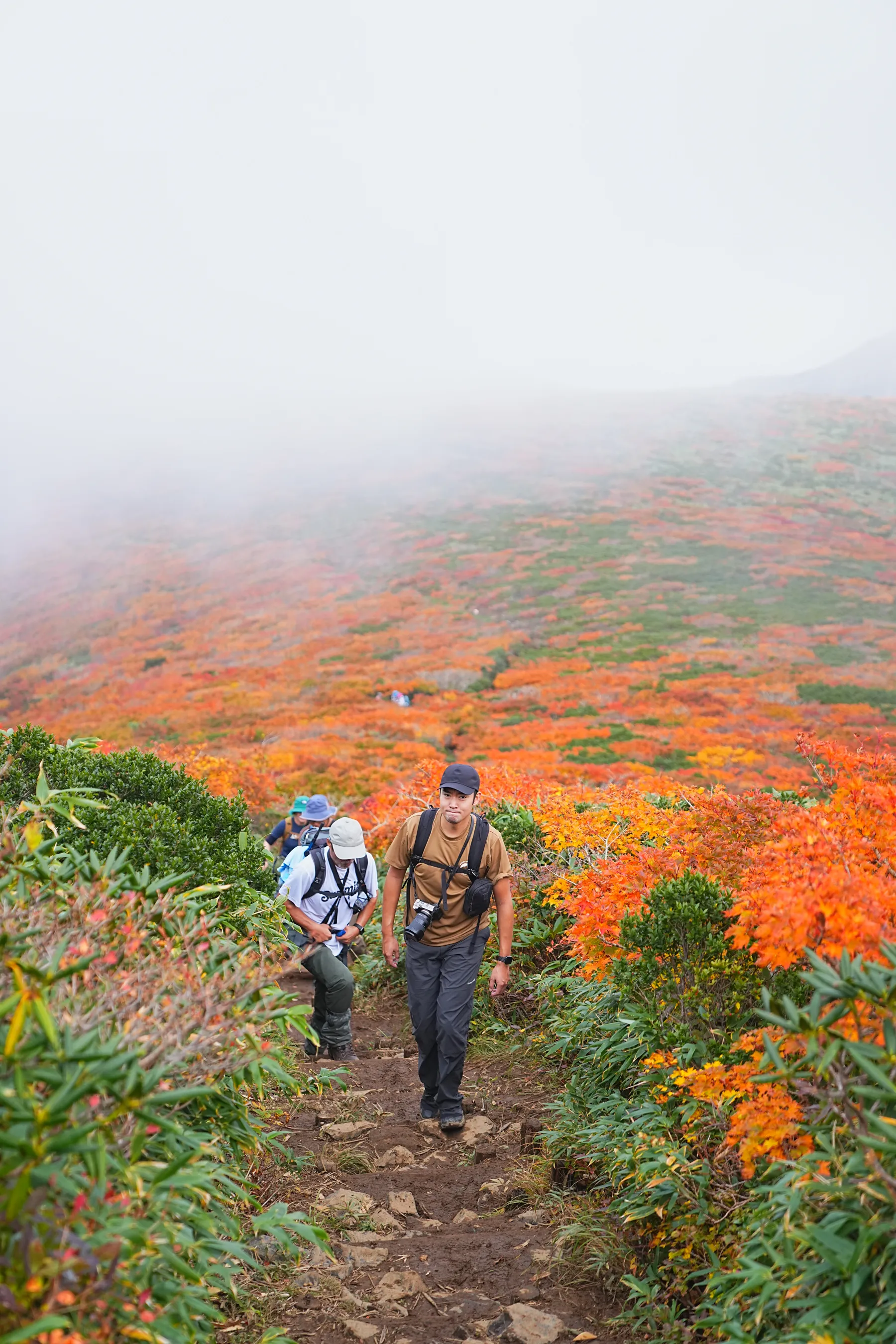 紅葉に染まる 東北・栗駒山 紅葉ハイキング