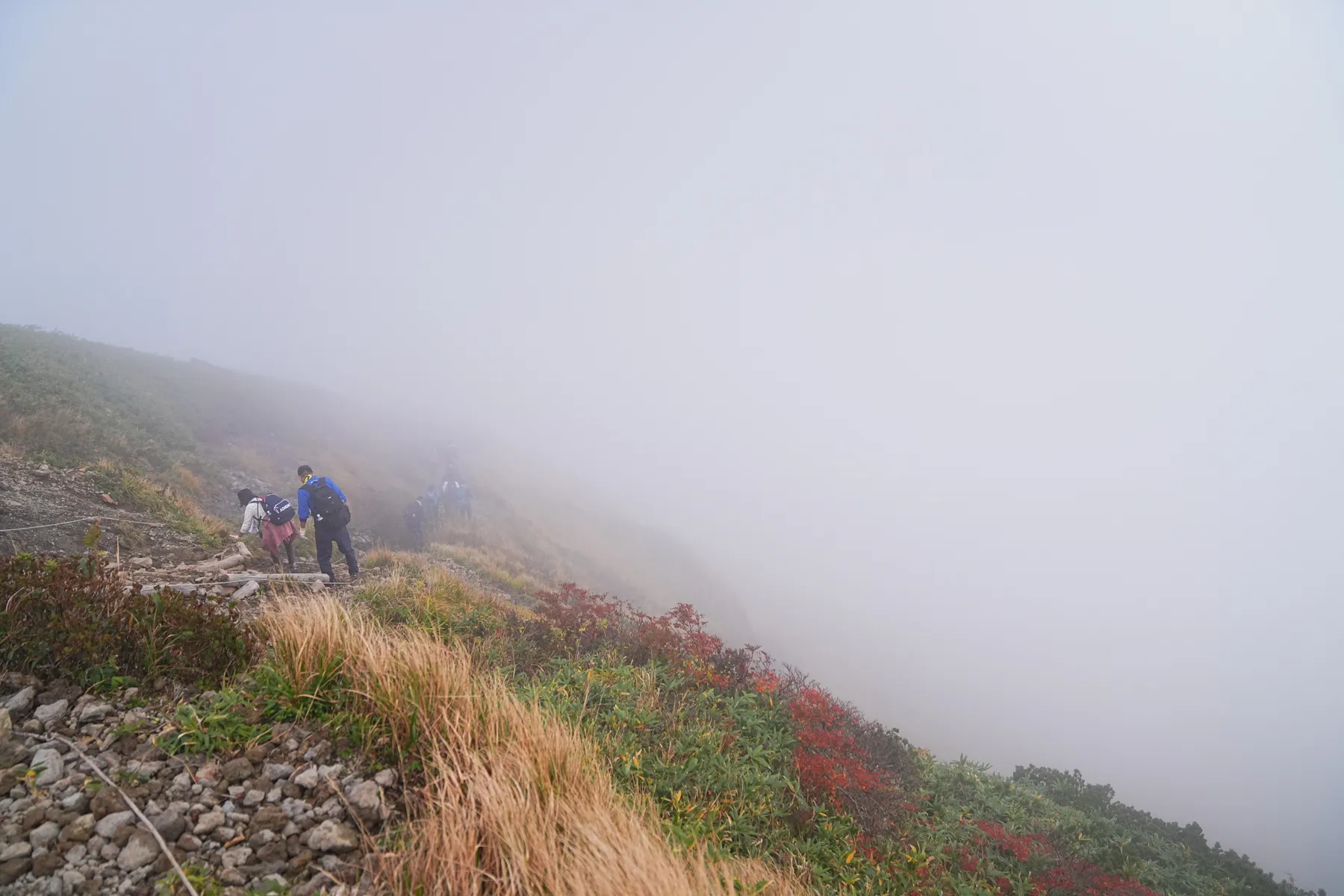 紅葉に染まる 東北・栗駒山 紅葉ハイキング