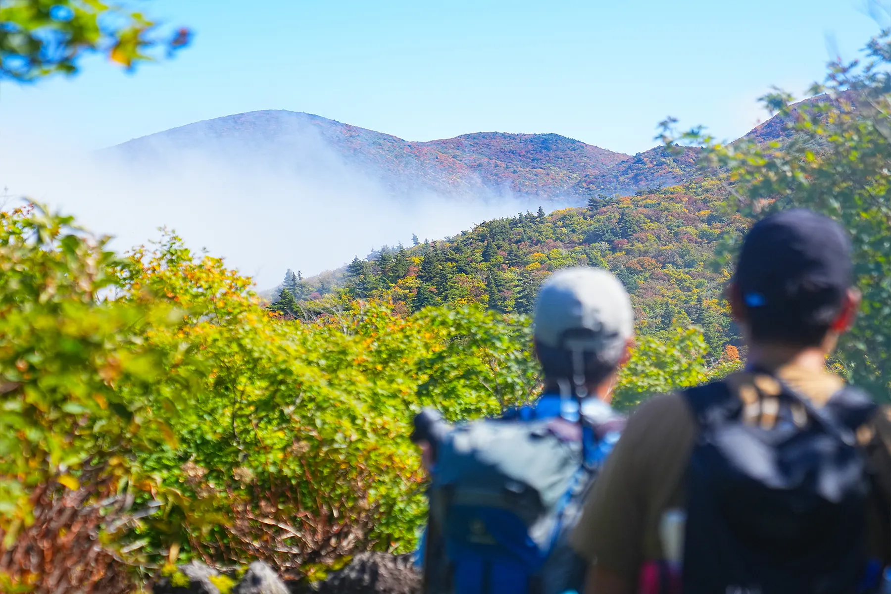 紅葉に染まる 東北・栗駒山 紅葉ハイキング