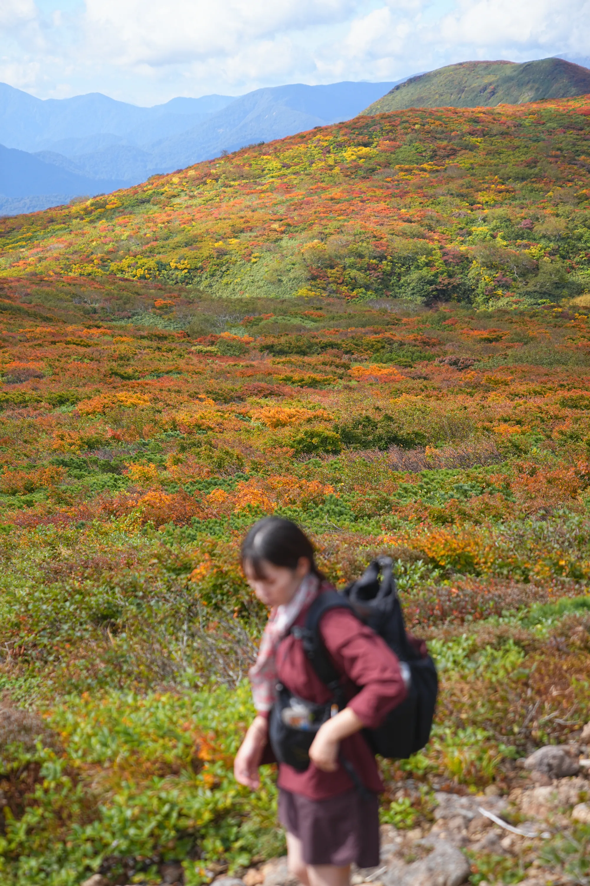紅葉に燃える栗駒山。2025年紅葉状況レポート。