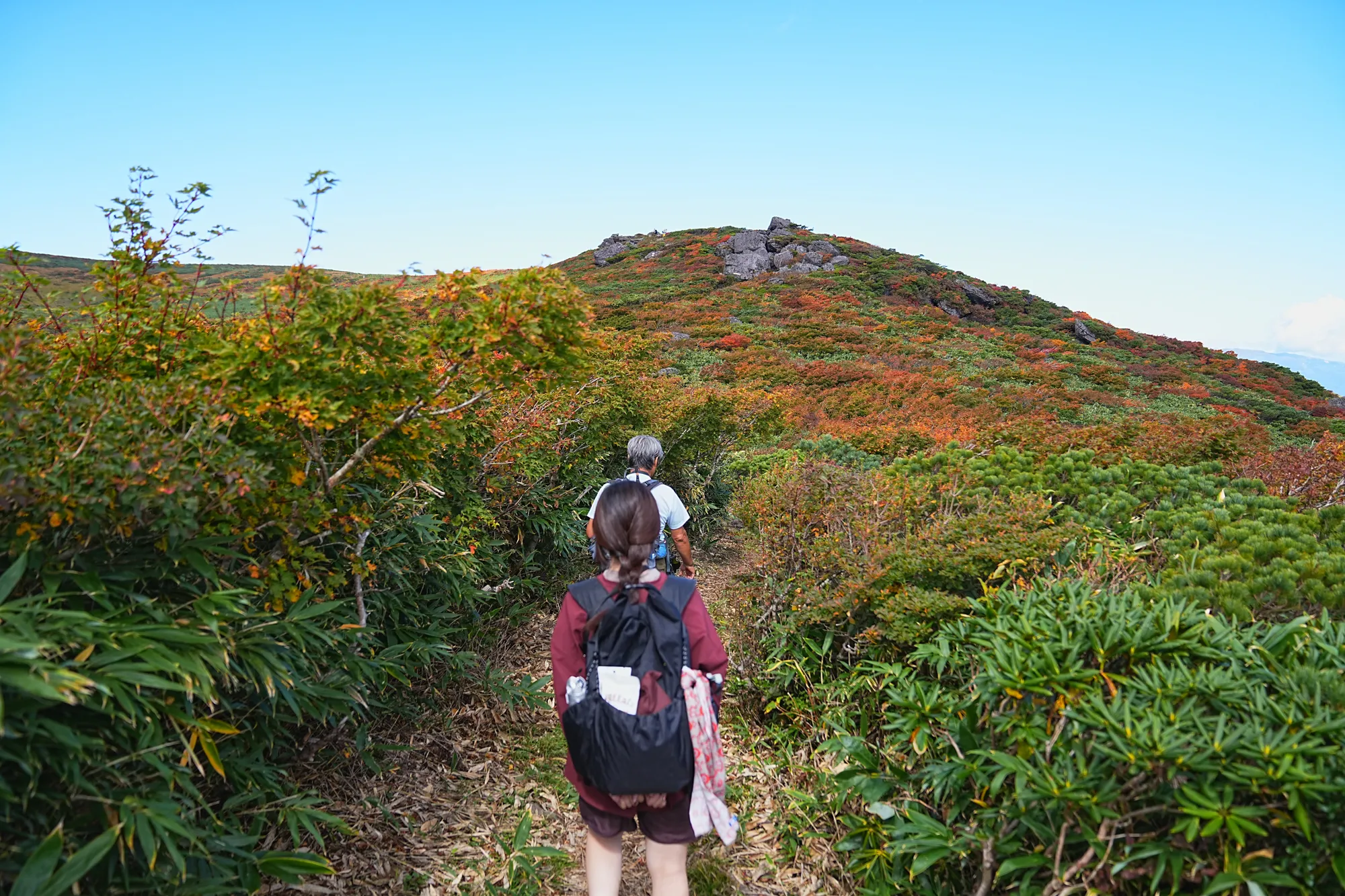 紅葉に燃える栗駒山。2025年紅葉状況レポート。