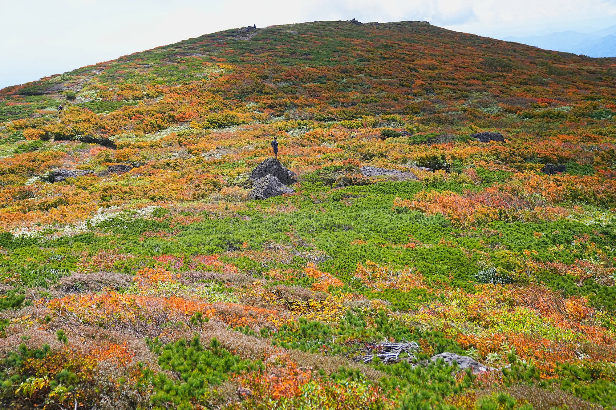 紅葉に燃える栗駒山。2025年紅葉状況レポート。