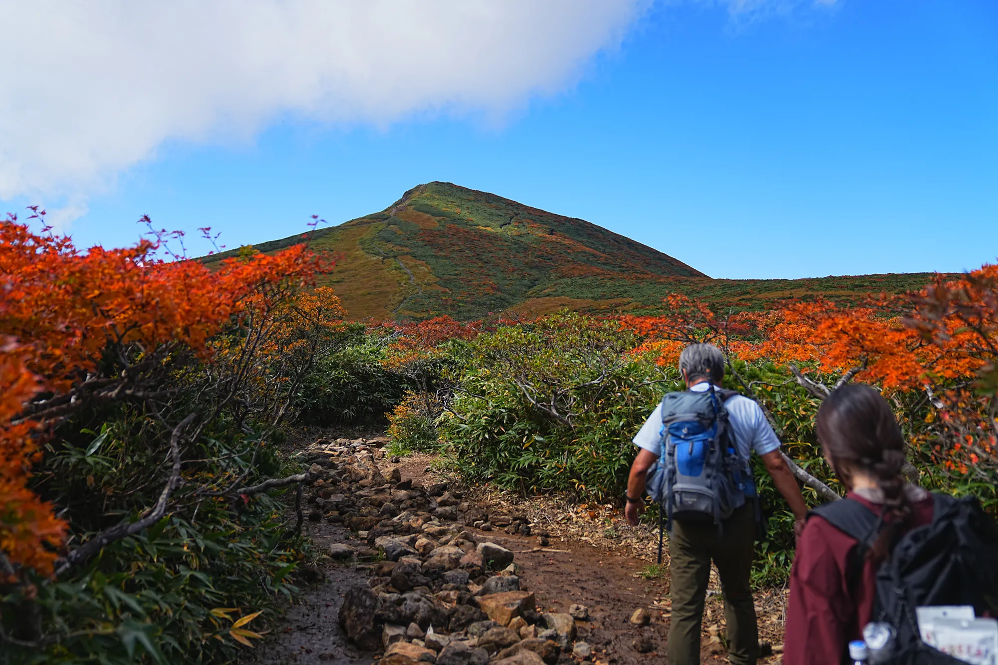 紅葉に燃える栗駒山。2025年紅葉状況レポート。