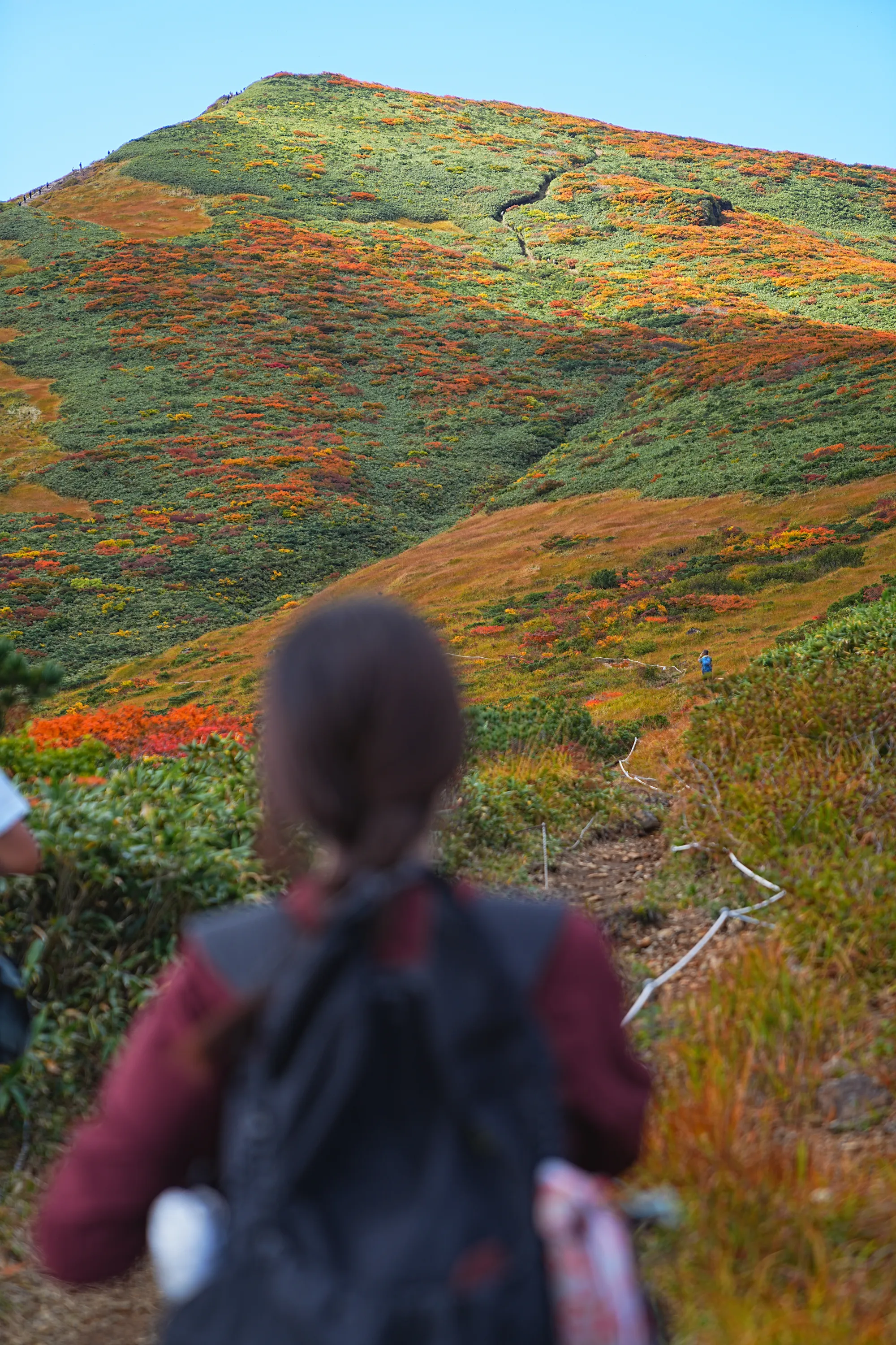 紅葉に燃える栗駒山。2025年紅葉状況レポート。