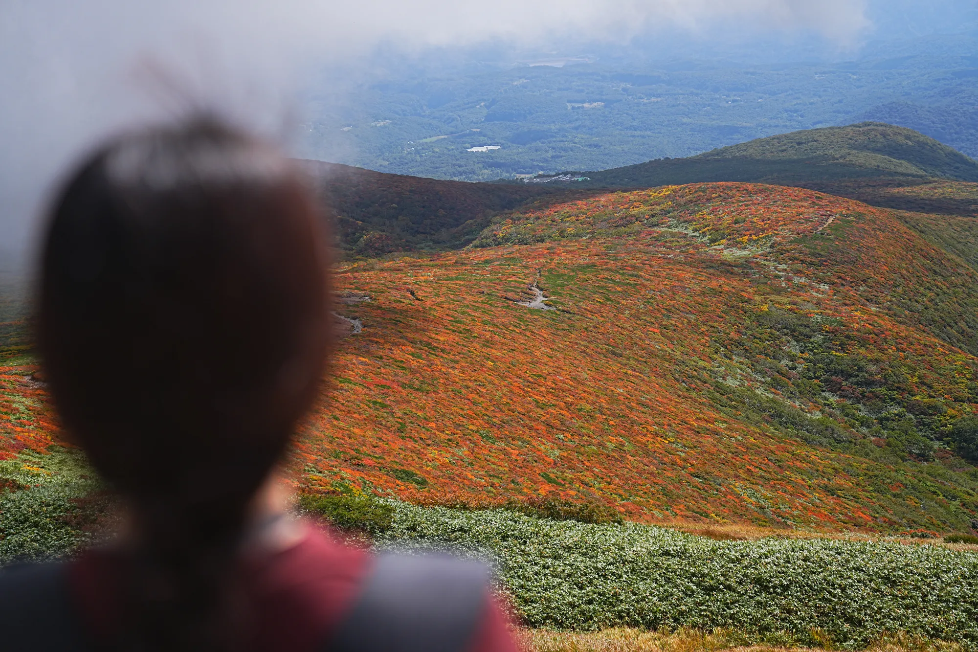 紅葉に燃える栗駒山。2025年紅葉状況レポート。