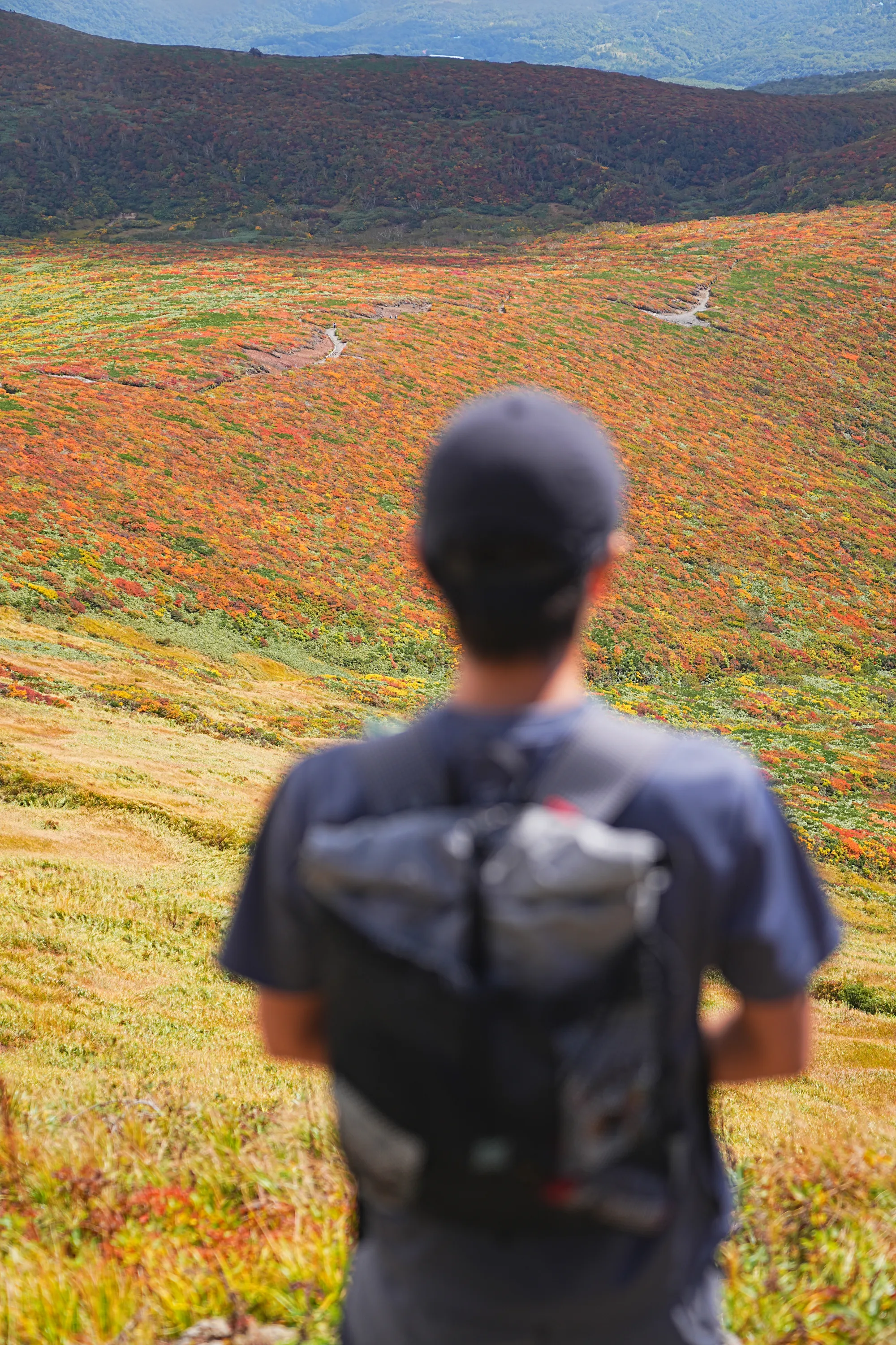 紅葉に燃える栗駒山。2025年紅葉状況レポート。