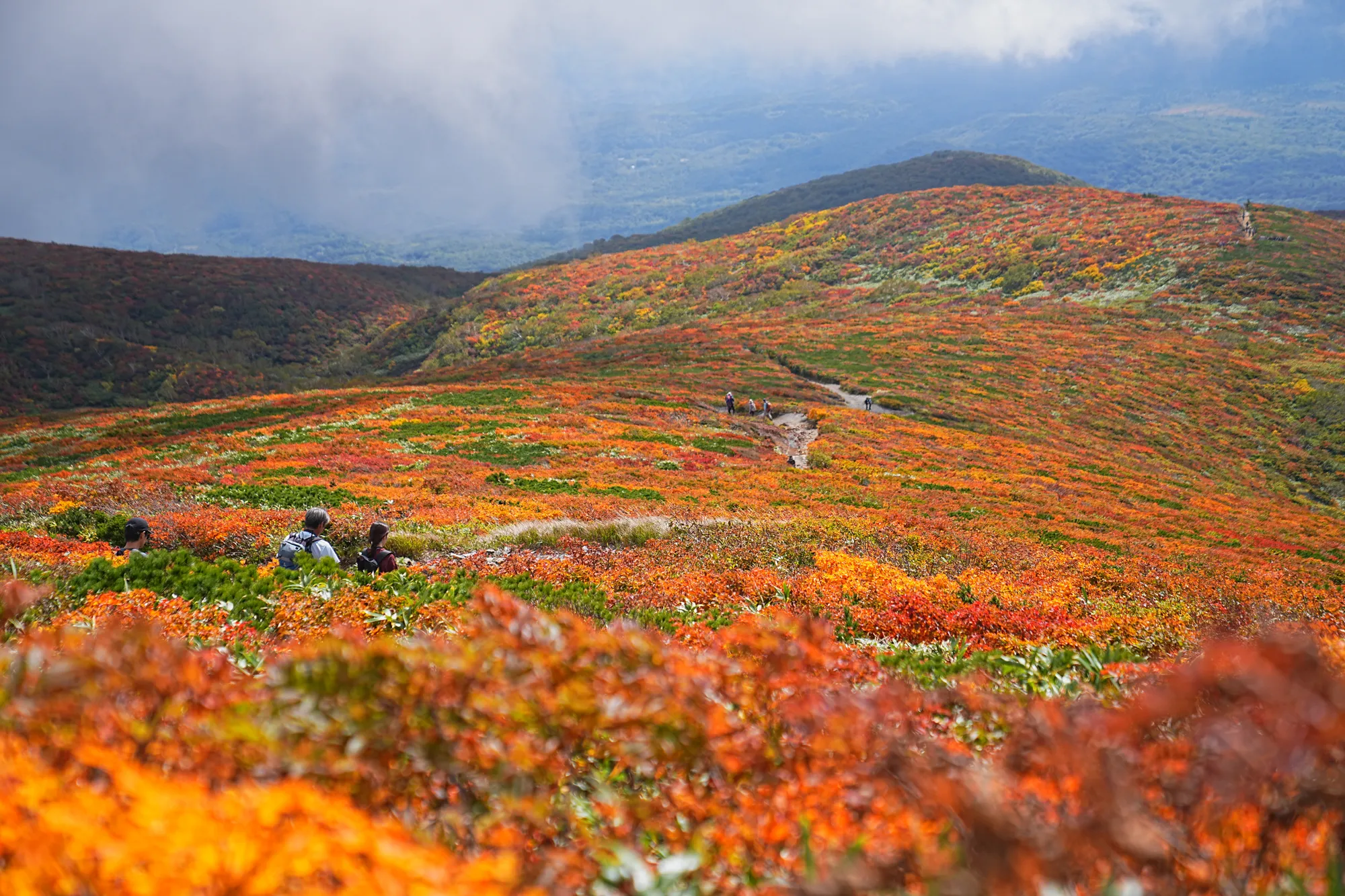 紅葉に燃える栗駒山。2025年紅葉状況レポート。