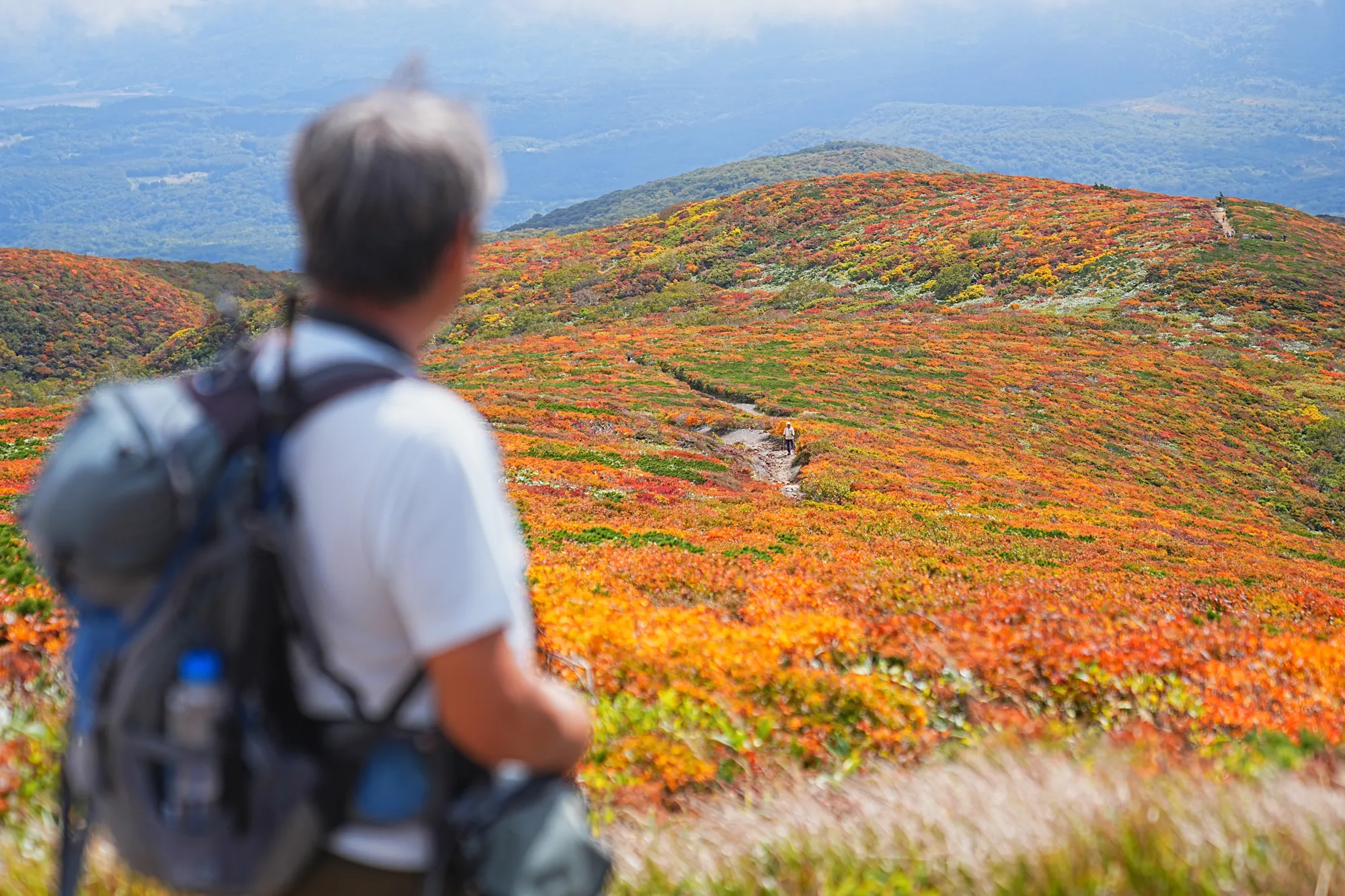 紅葉に燃える栗駒山。2025年紅葉状況レポート。