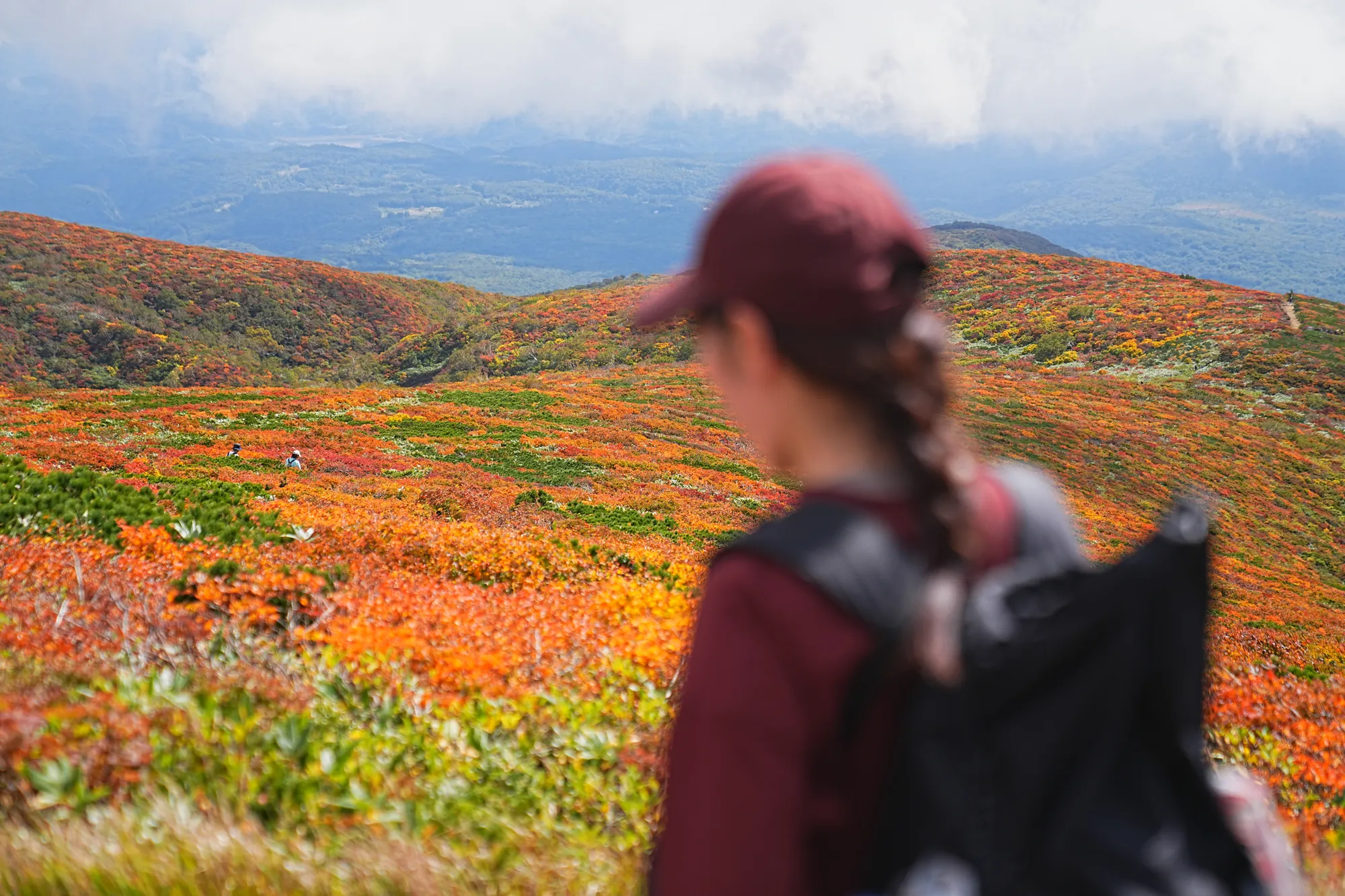 紅葉に燃える栗駒山。2025年紅葉状況レポート。
