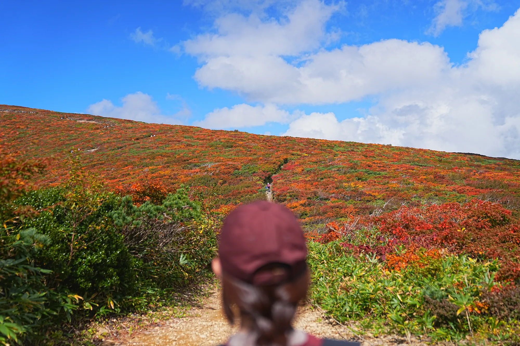 紅葉に燃える栗駒山。2025年紅葉状況レポート。