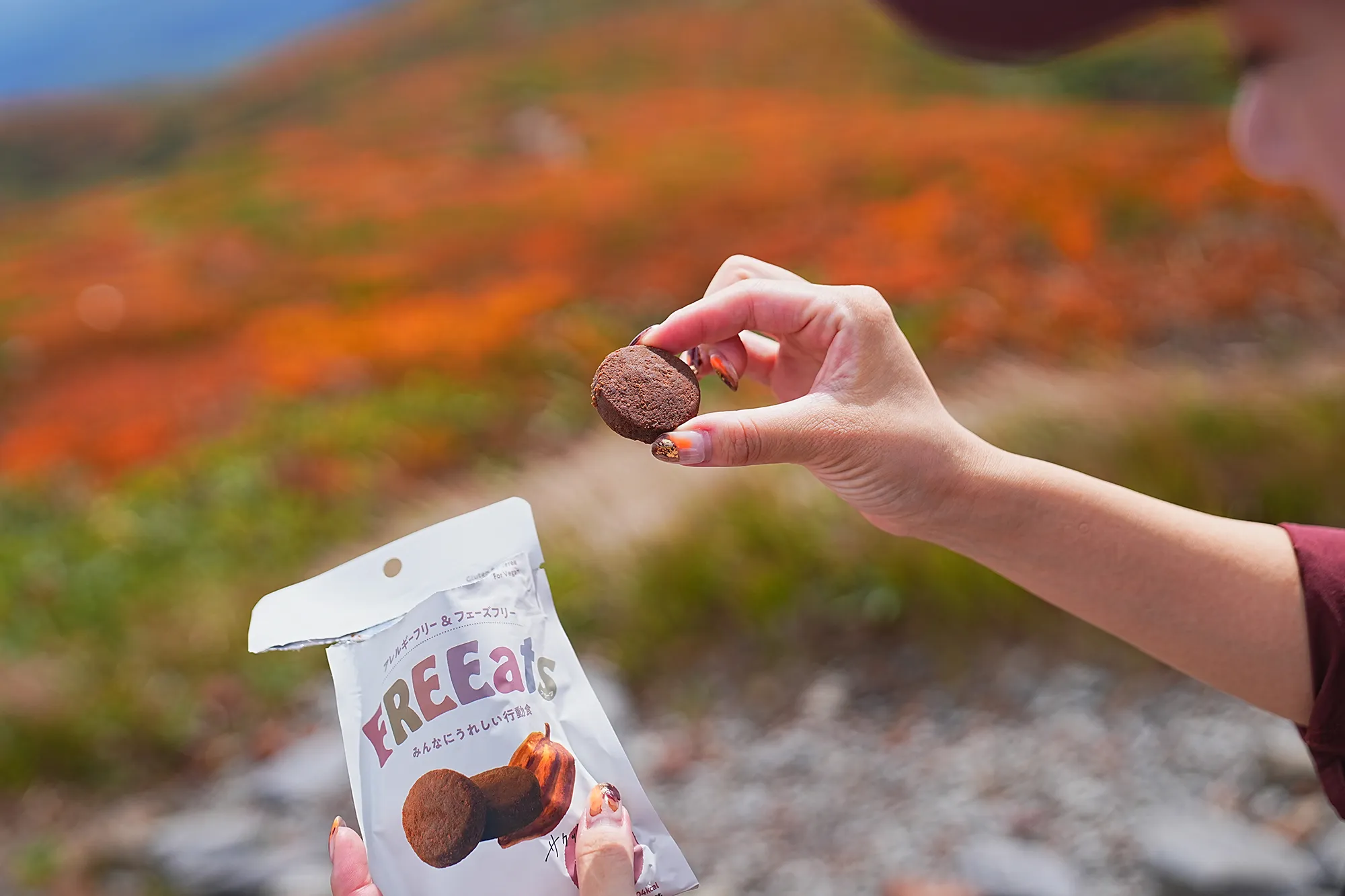紅葉に燃える栗駒山。2025年紅葉状況レポート。