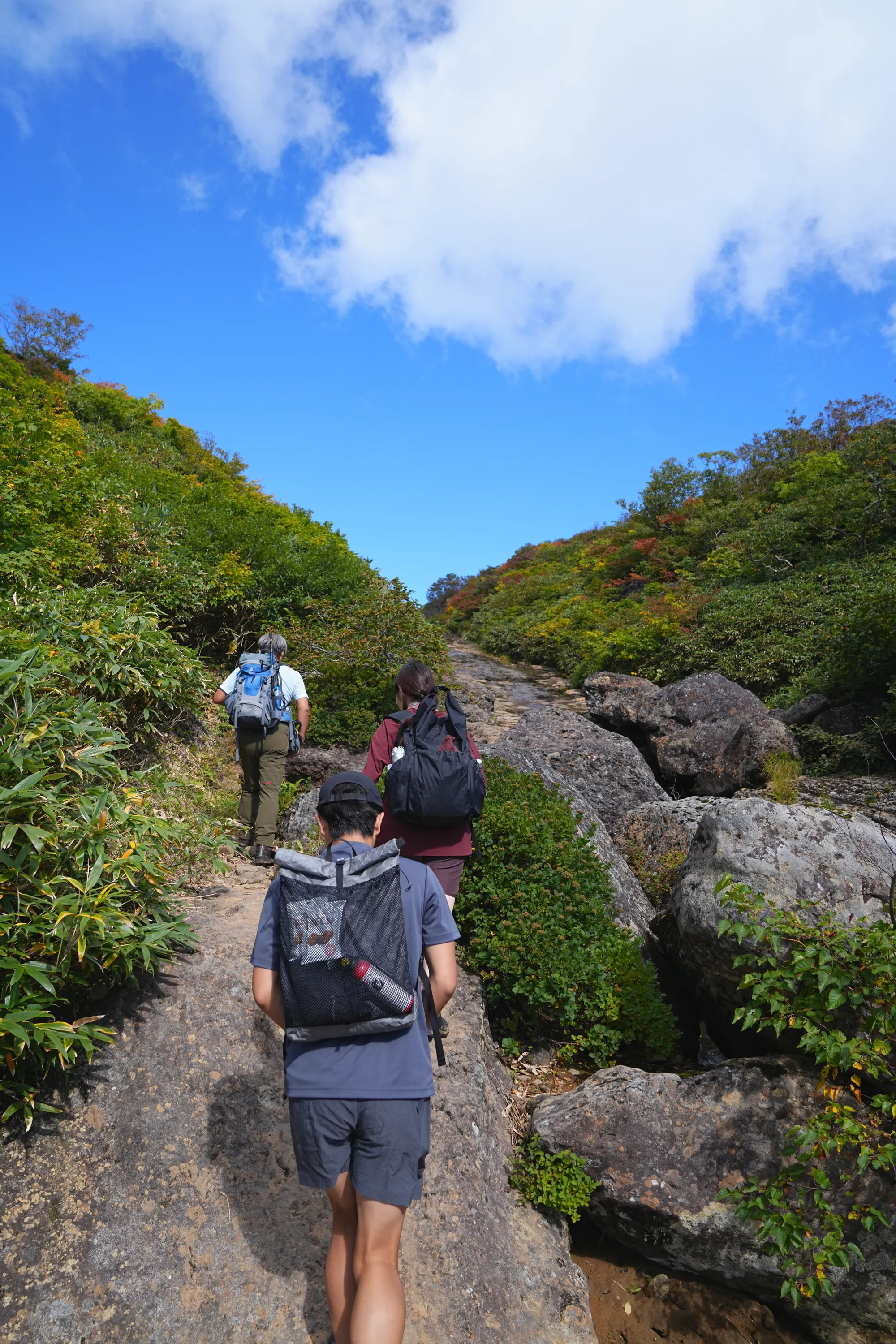 紅葉に燃える栗駒山。2025年紅葉状況レポート。