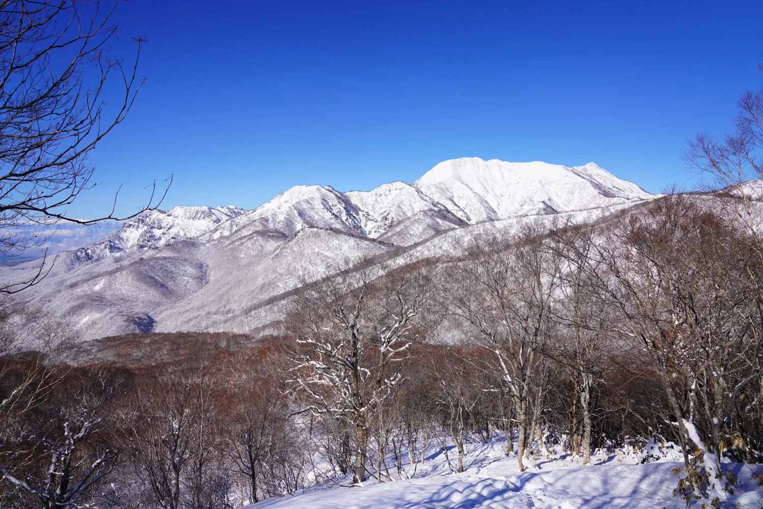 黒姫山 積雪期 日帰り登山