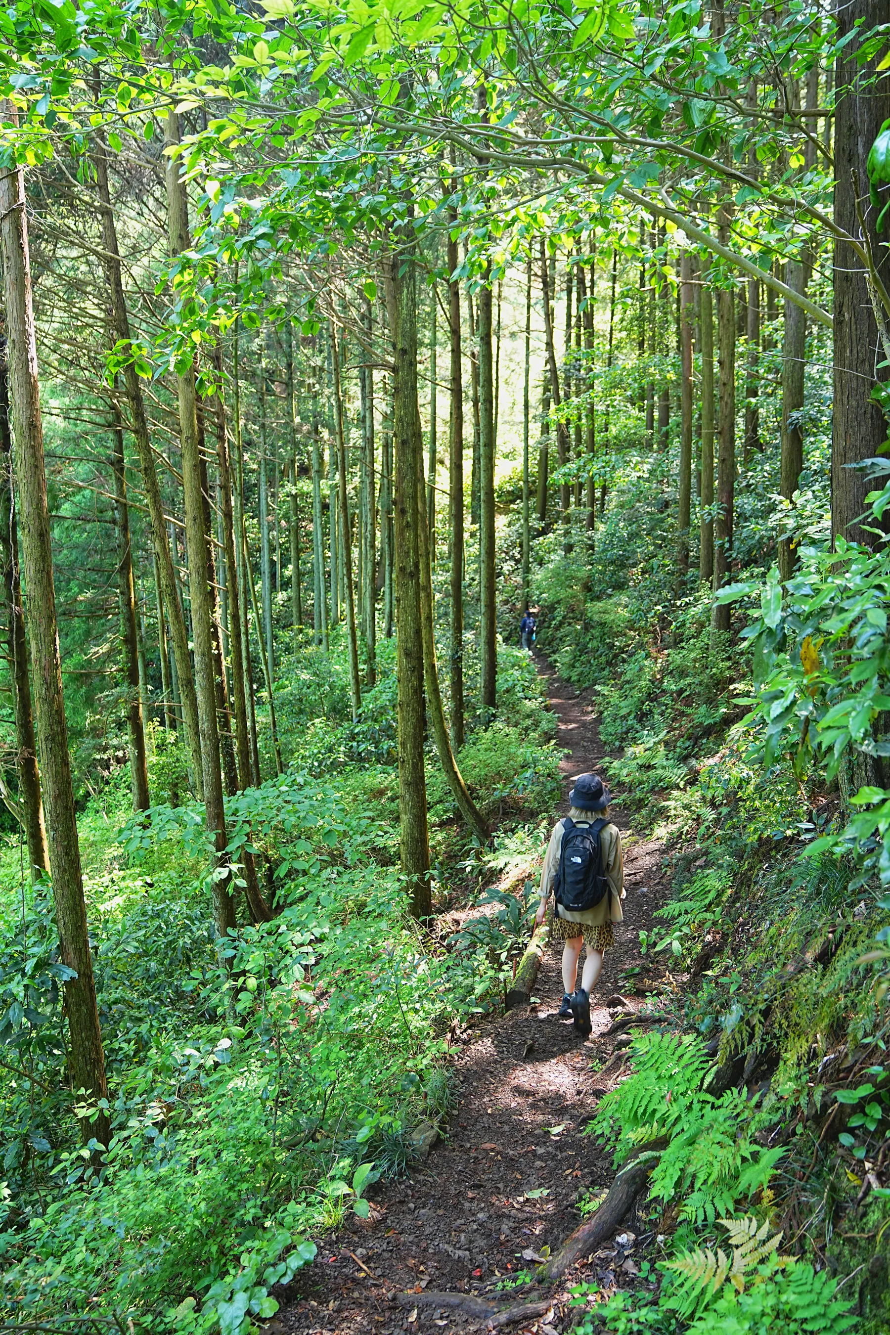静岡・焼津の満観峰をのんびりハイキング！