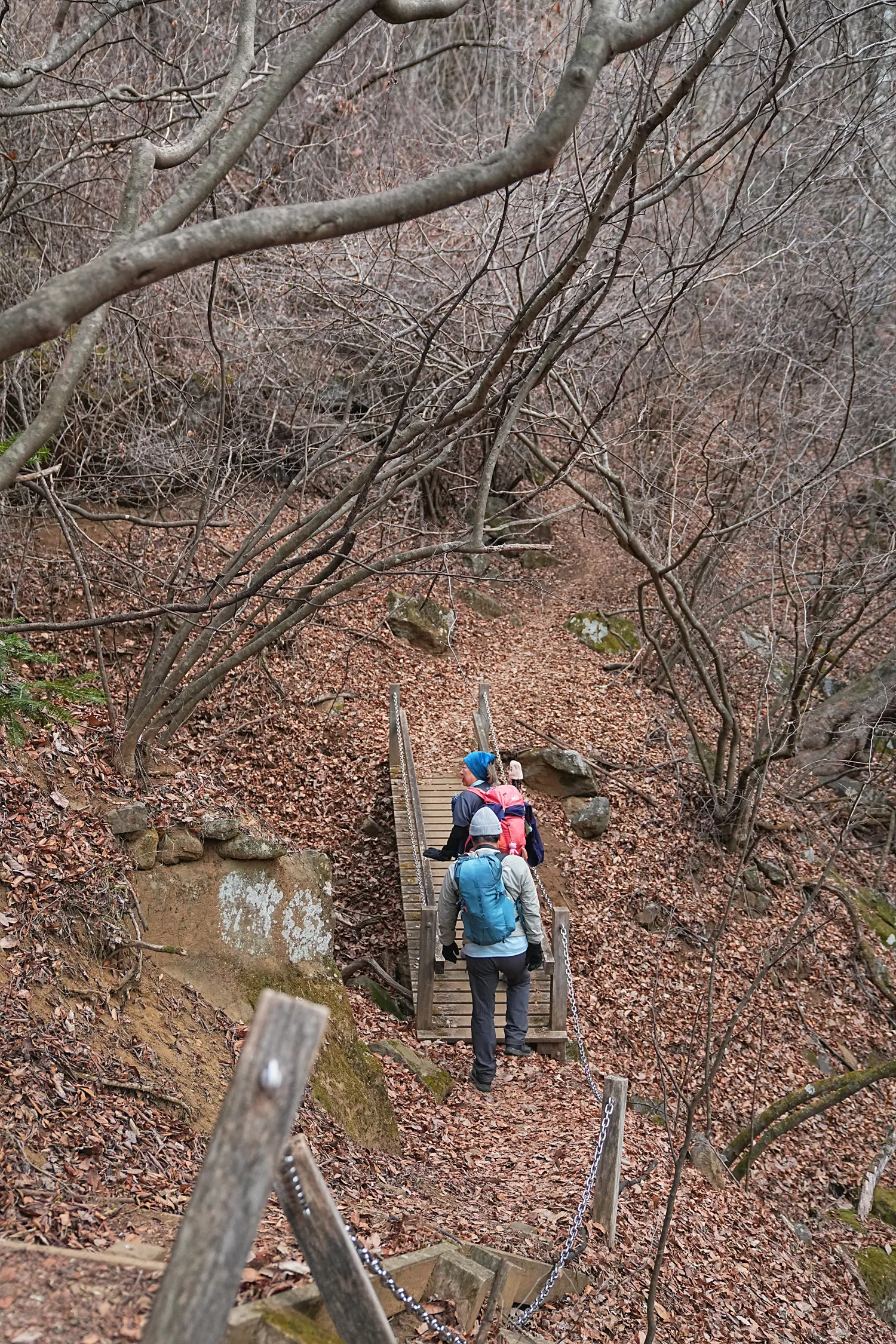 巨大な富士山を見に、山梨県 三ツ峠山へ
