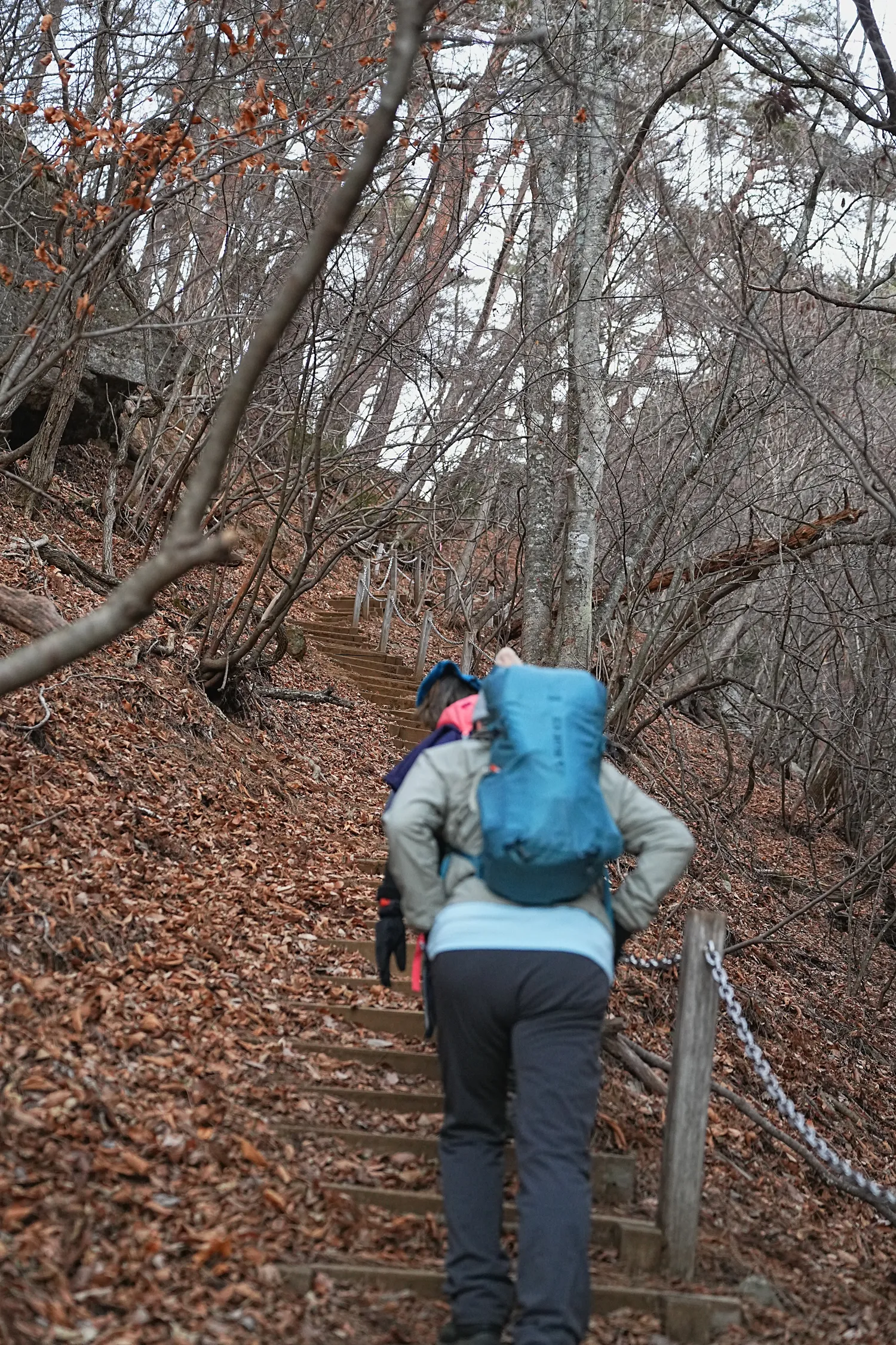 巨大な富士山を見に、山梨県 三ツ峠山へ