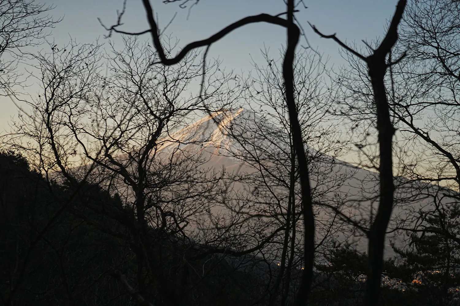 巨大な富士山を見に、山梨県 三ツ峠山へ