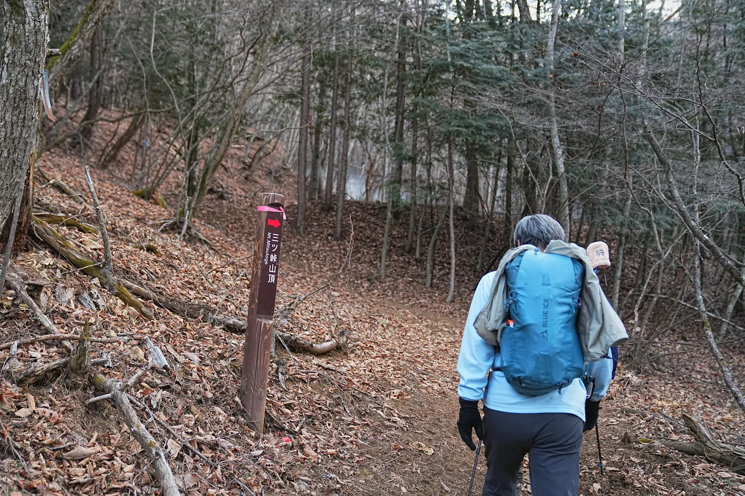 巨大な富士山を見に、山梨県 三ツ峠山へ