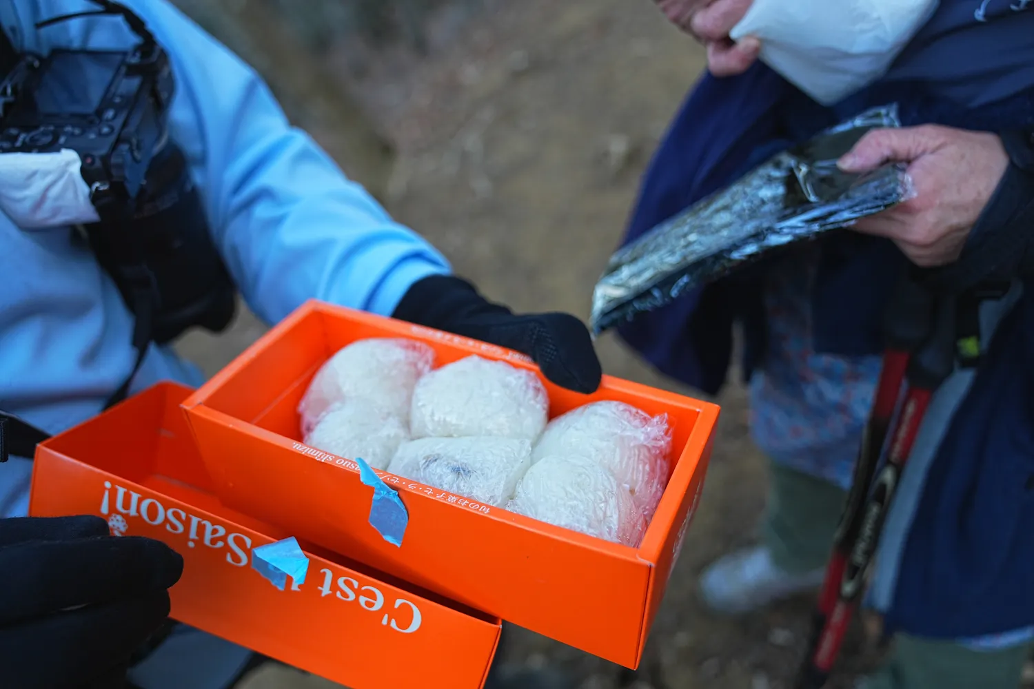 巨大な富士山を見に、山梨県 三ツ峠山へ