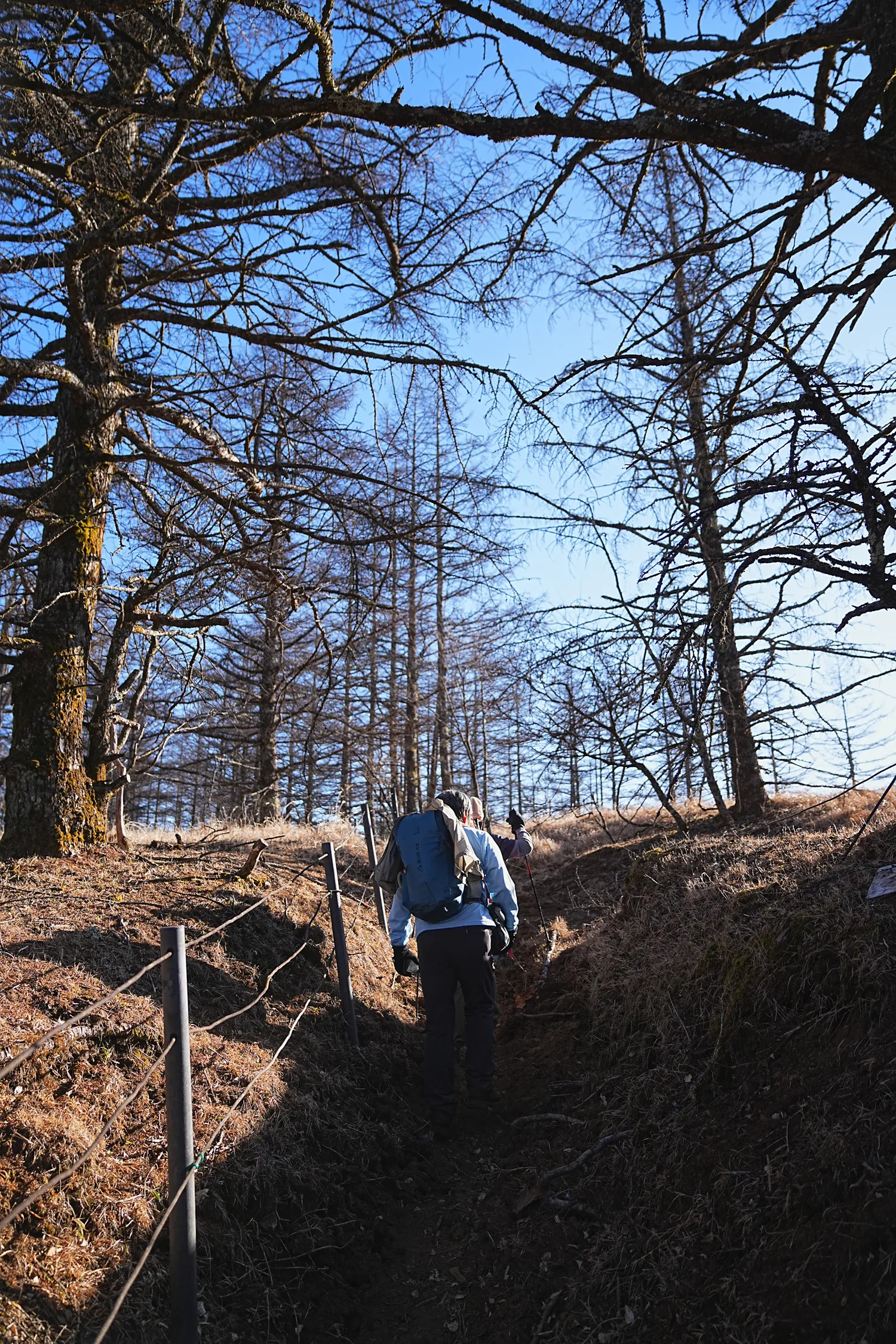 巨大な富士山を見に、山梨県 三ツ峠山へ