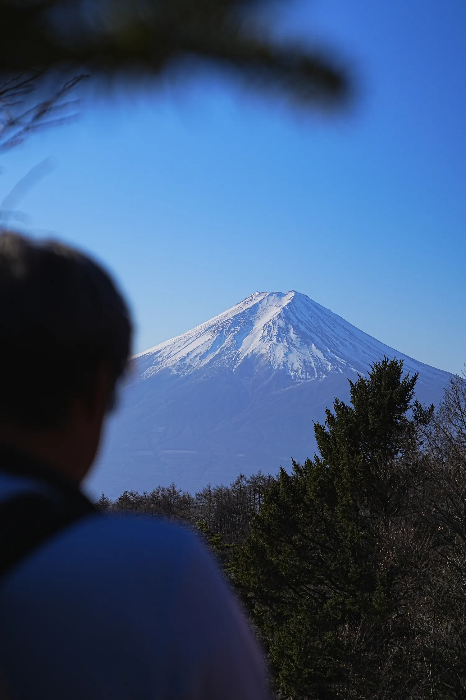 巨大な富士山を見に、山梨県 三ツ峠山へ