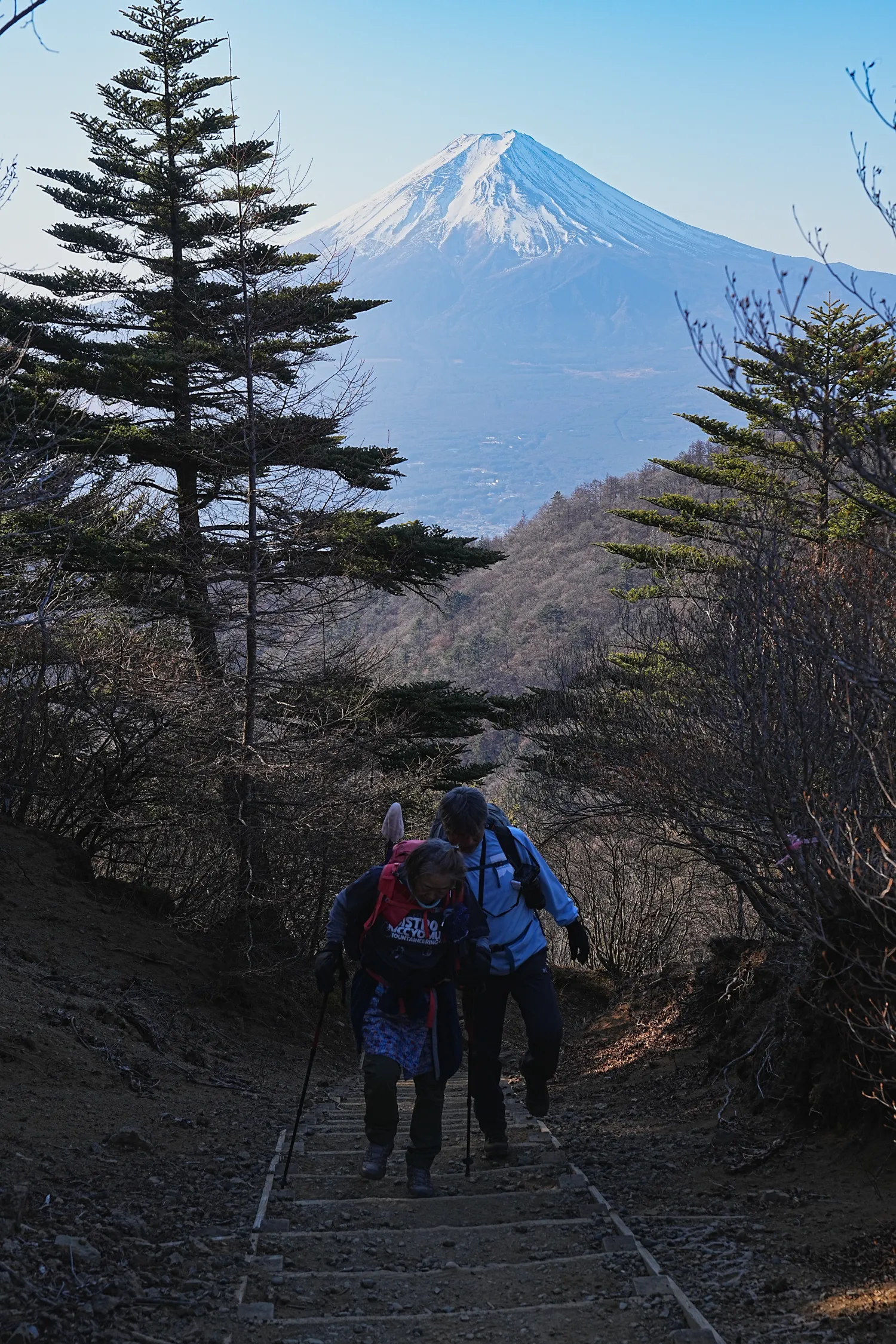 巨大な富士山を見に、山梨県 三ツ峠山へ