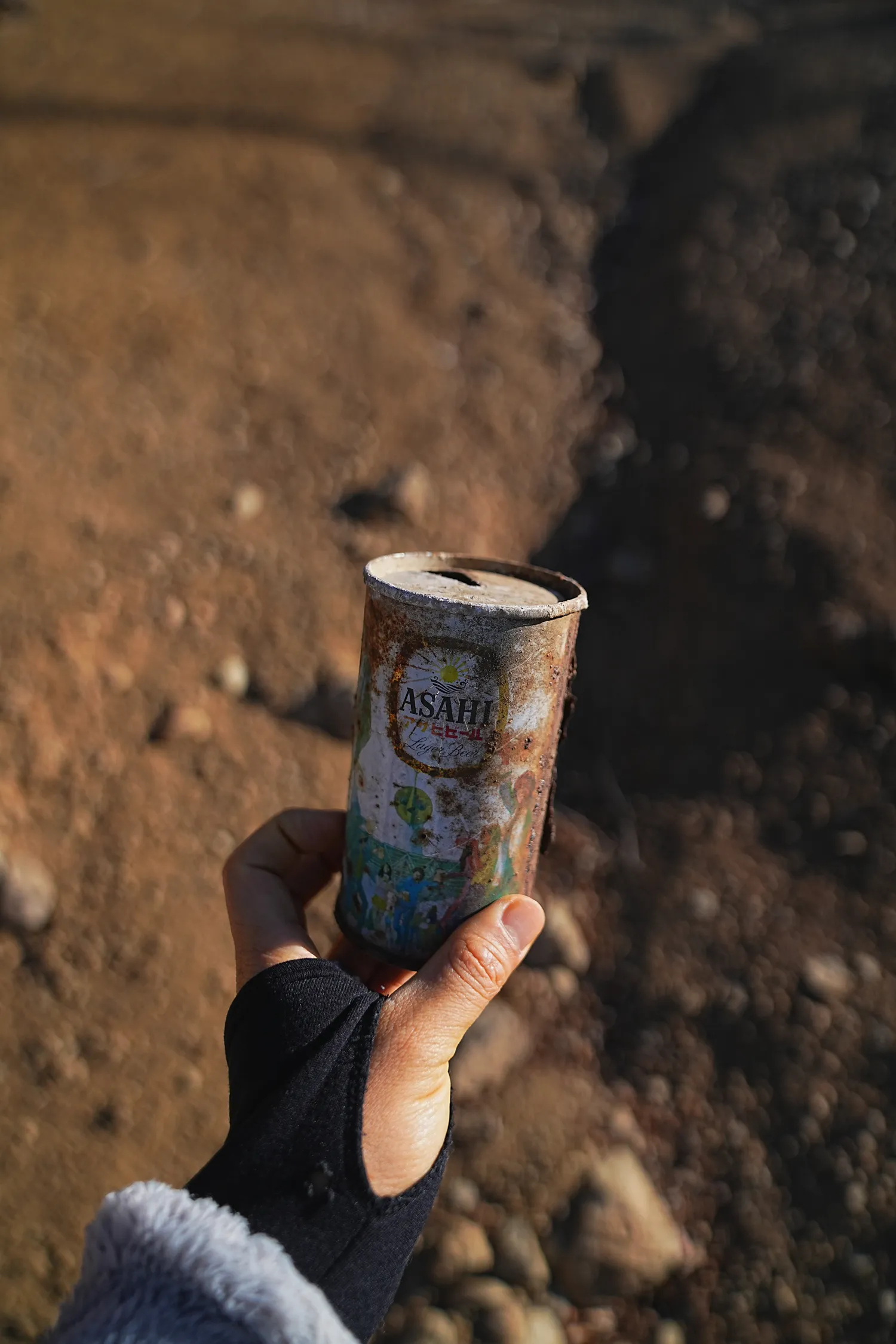 巨大な富士山を見に、山梨県 三ツ峠山へ