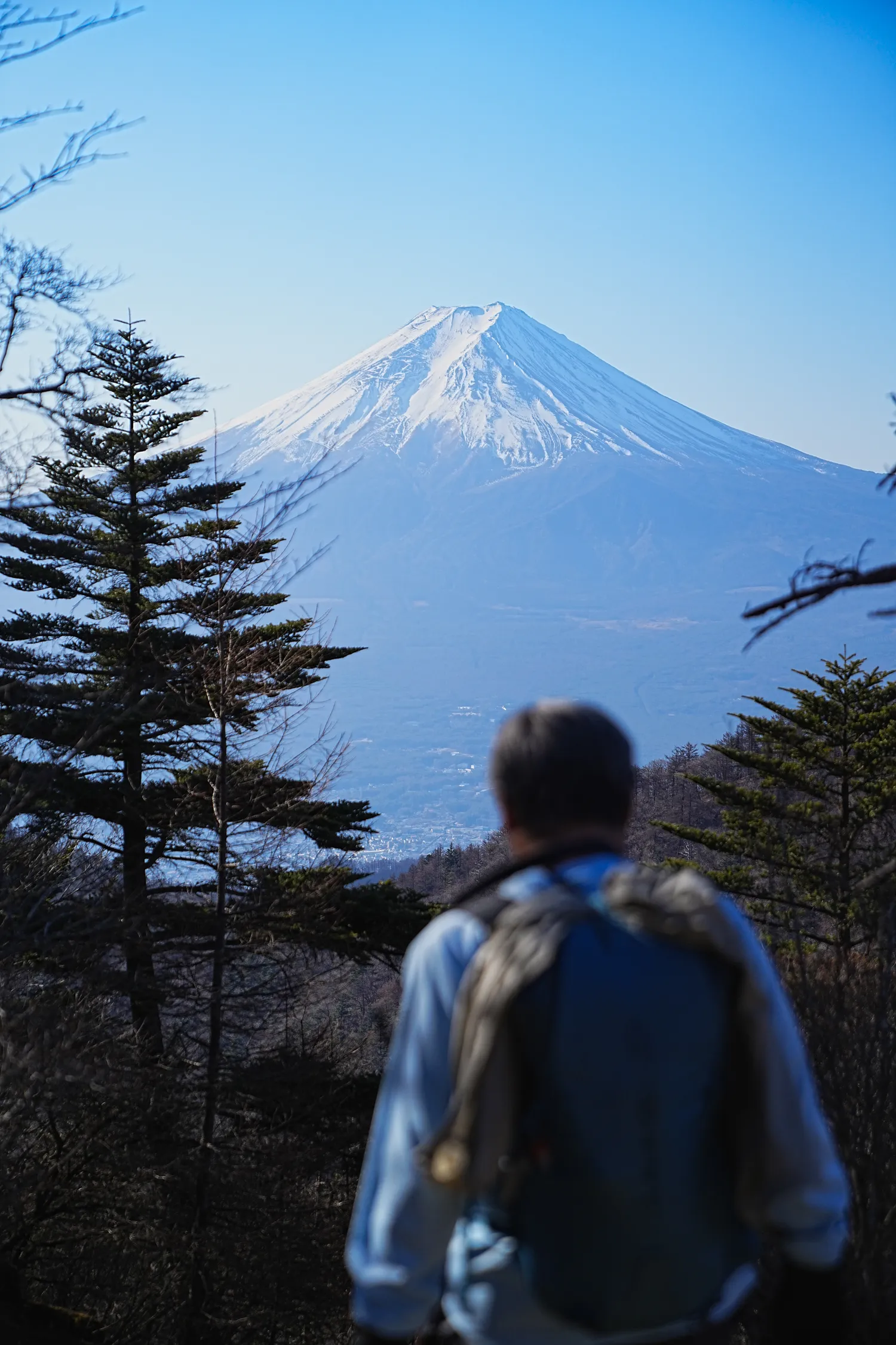 巨大な富士山を見に、山梨県 三ツ峠山へ