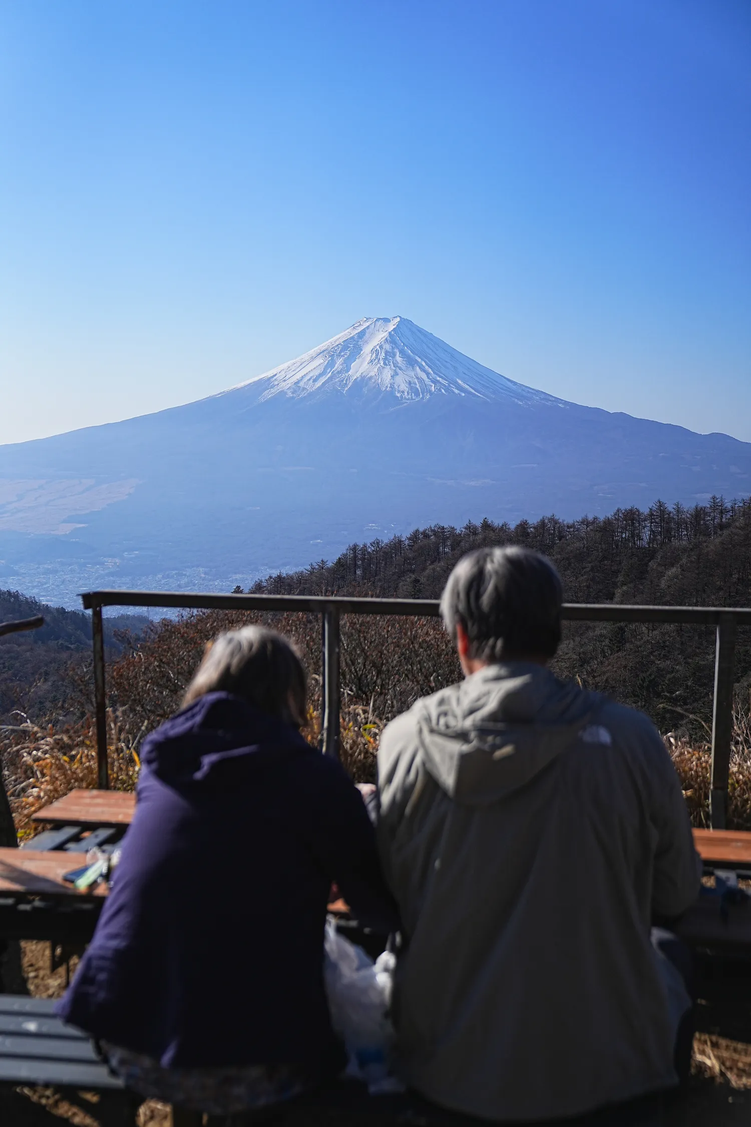 巨大な富士山を見に、山梨県 三ツ峠山へ