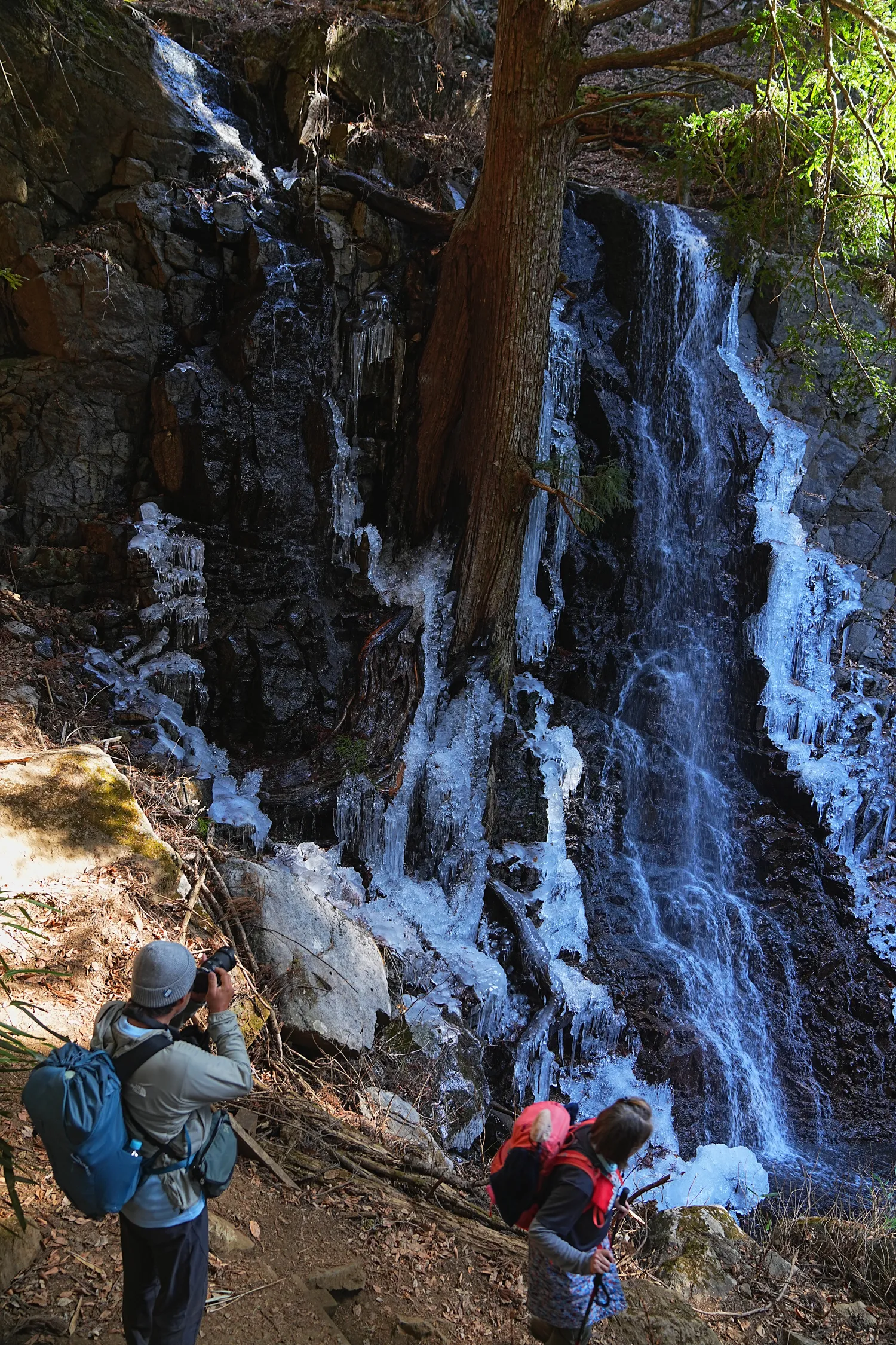 巨大な富士山を見に、山梨県 三ツ峠山へ