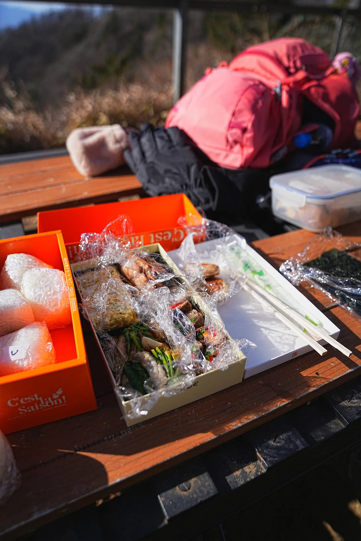 巨大な富士山を見に、山梨県 三ツ峠山へ