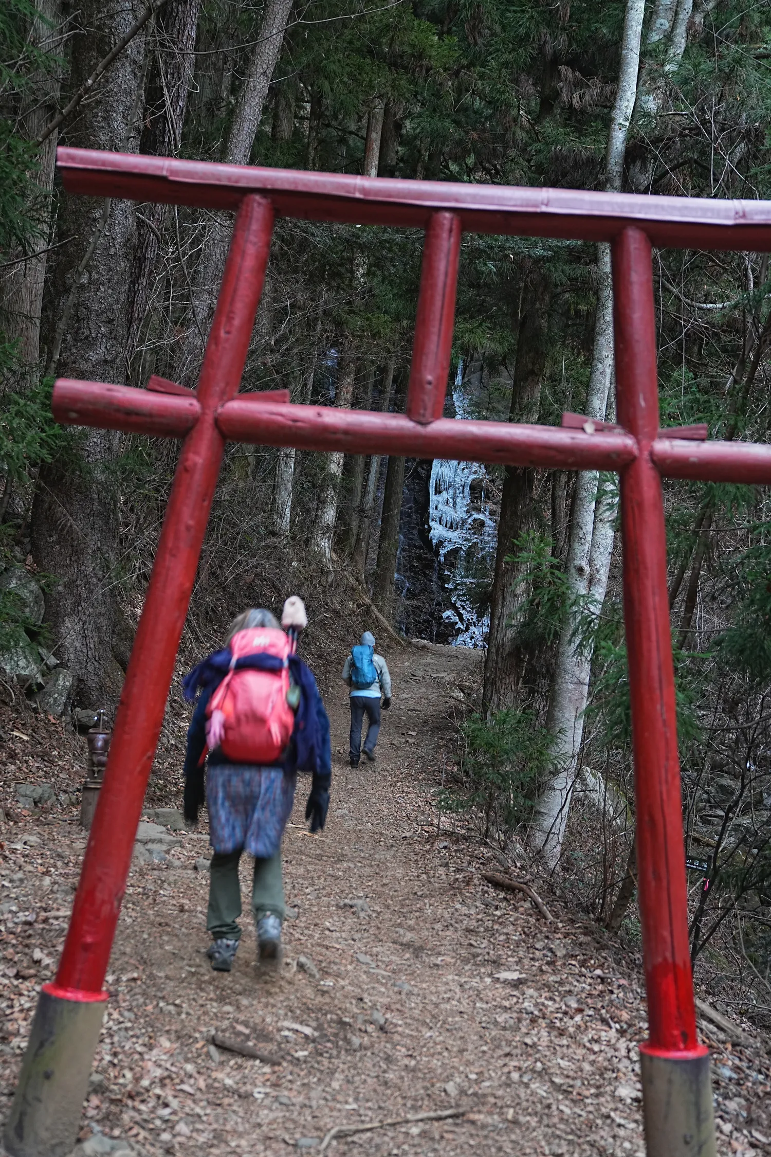 巨大な富士山を見に、山梨県 三ツ峠山へ