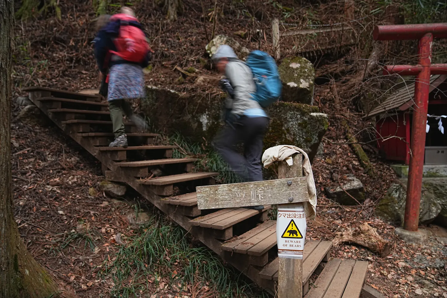 巨大な富士山を見に、山梨県 三ツ峠山へ