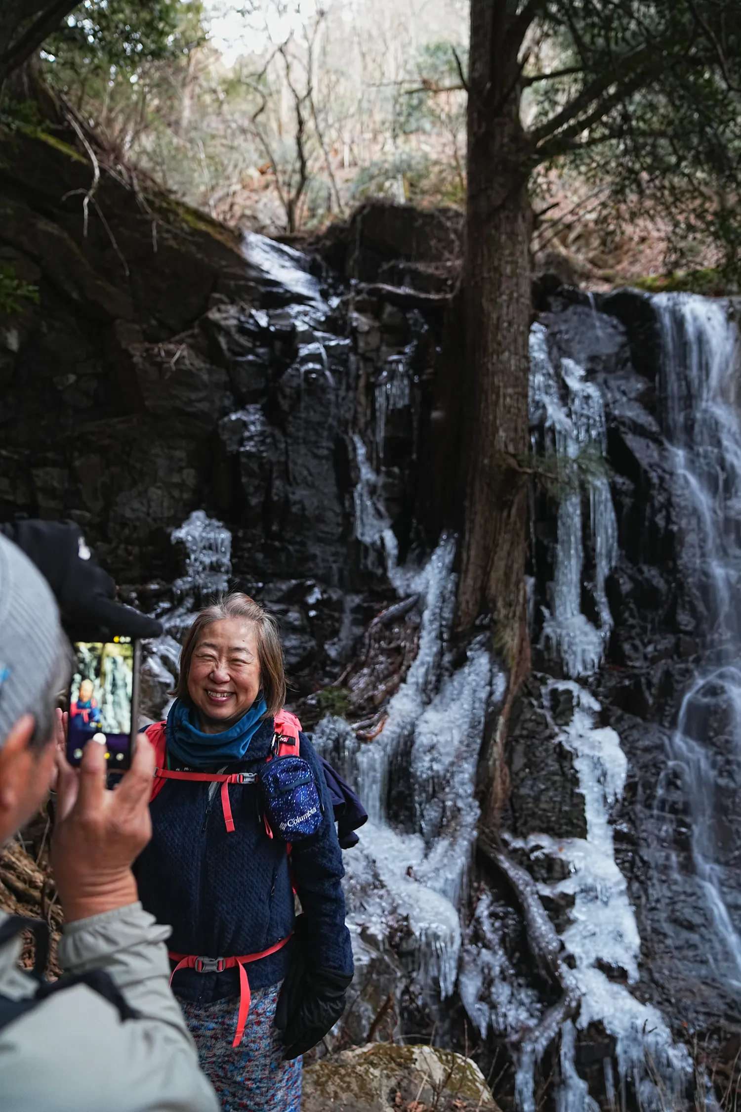 巨大な富士山を見に、山梨県 三ツ峠山へ