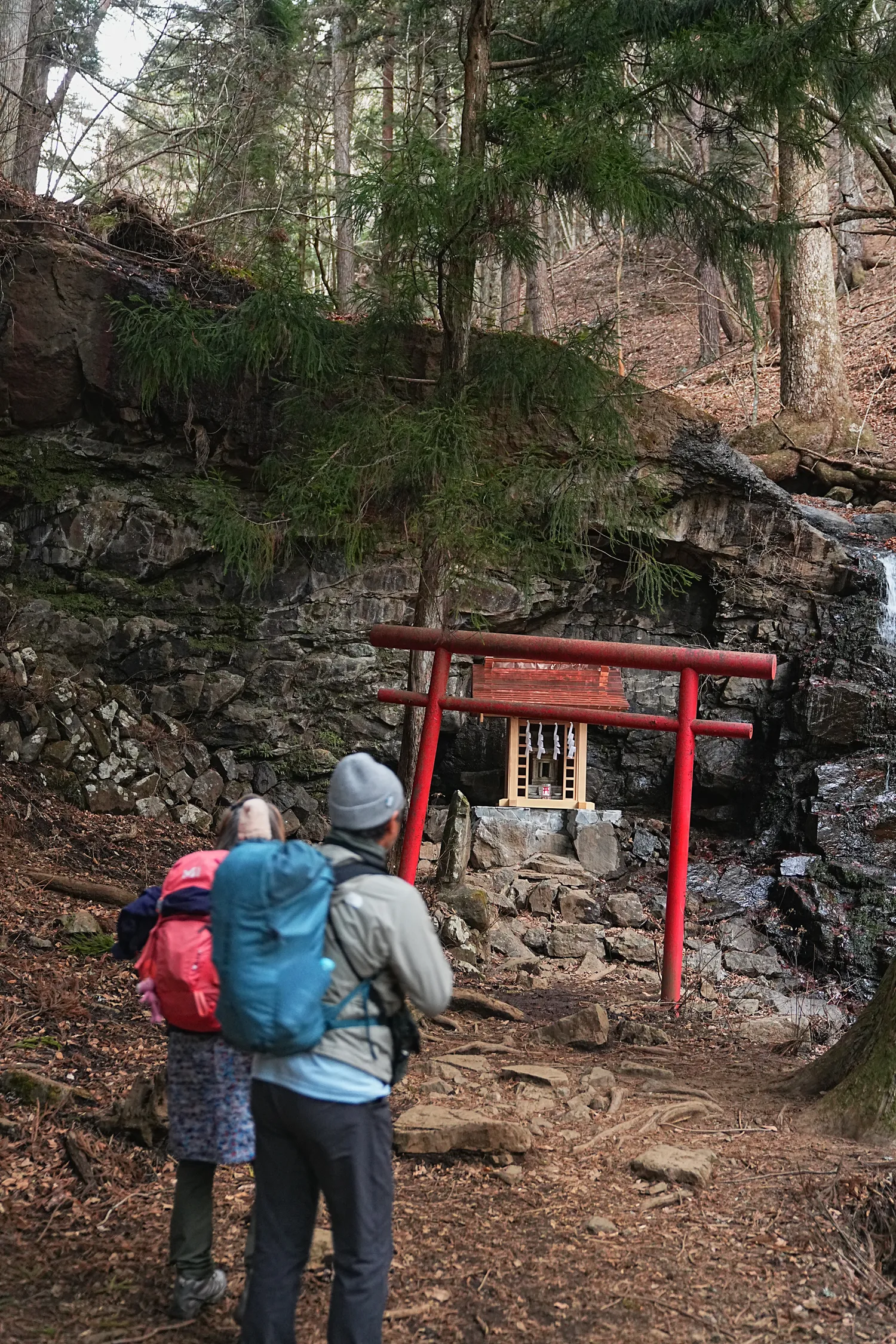 巨大な富士山を見に、山梨県 三ツ峠山へ