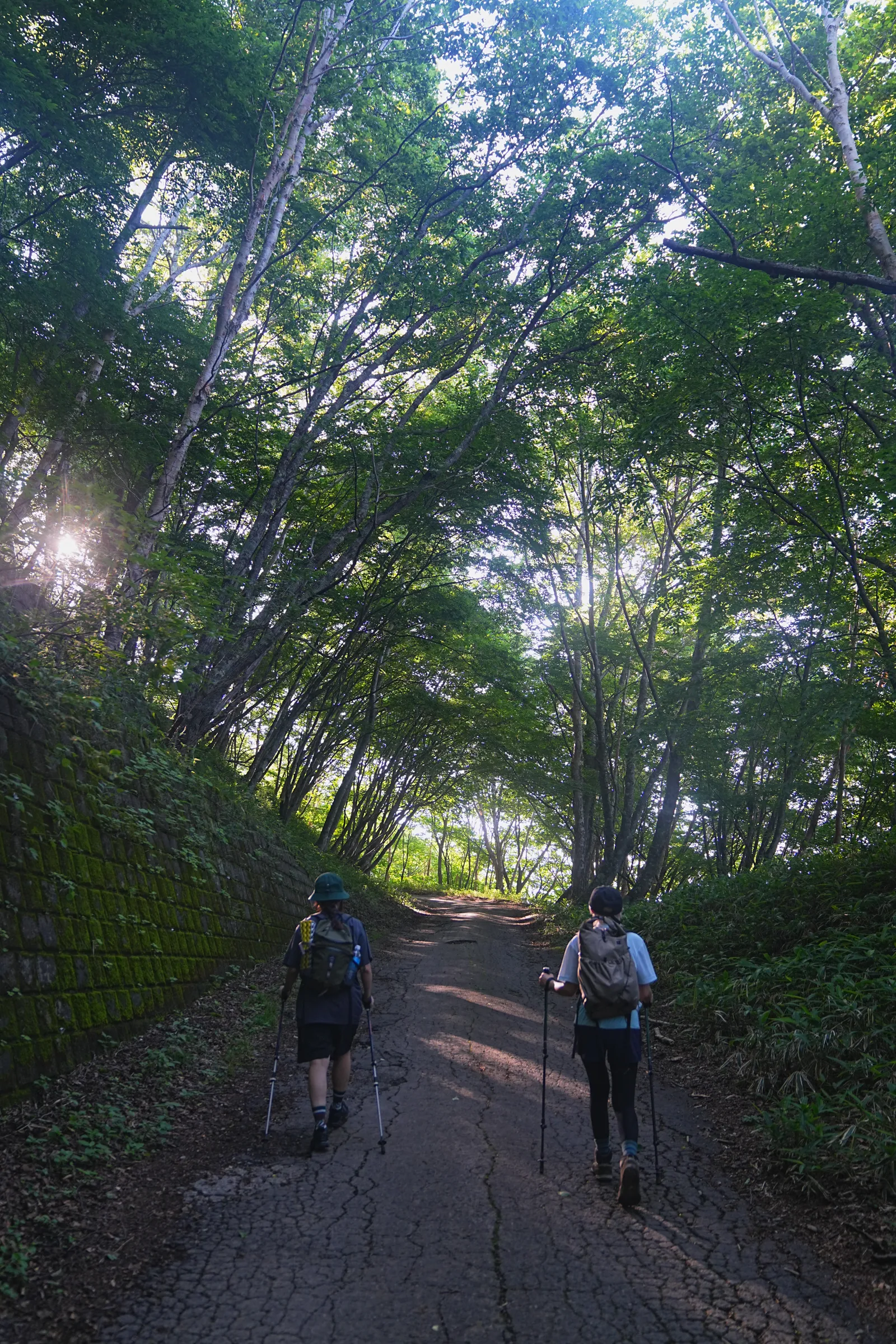 夏休みに登ろう！日光の百名山・男体山！