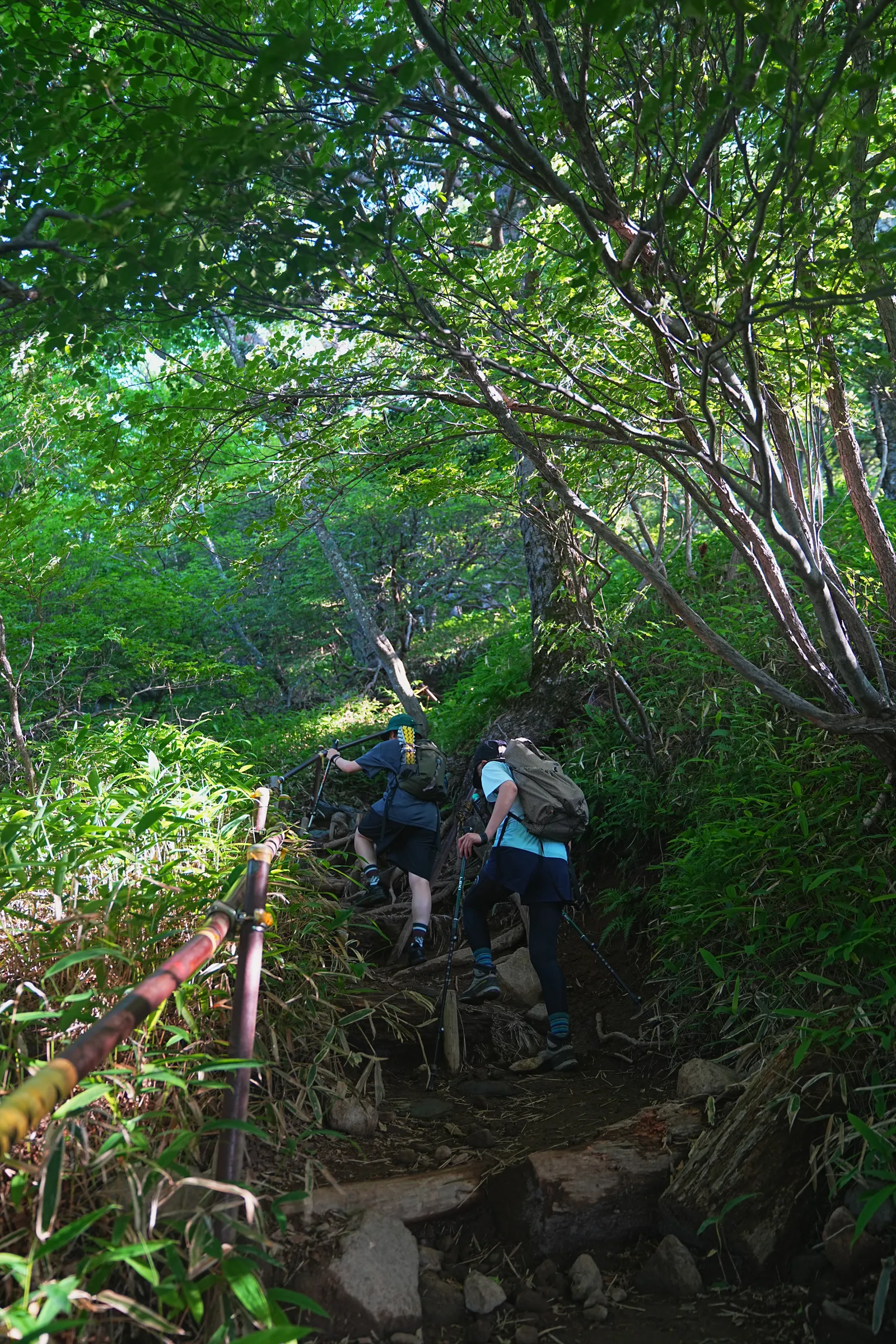 夏休みに登ろう！日光の百名山・男体山！