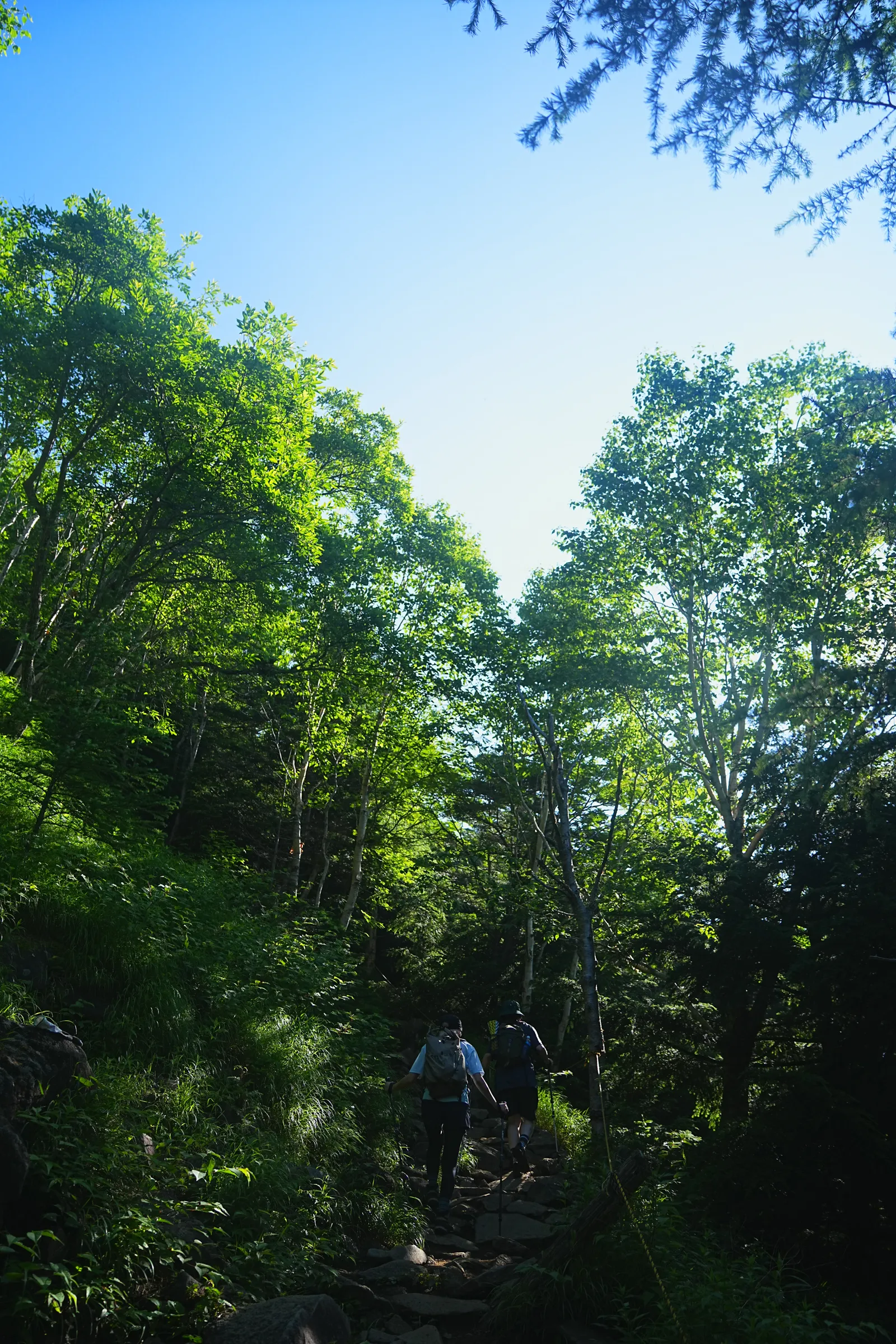 夏休みに登ろう！日光の百名山・男体山！