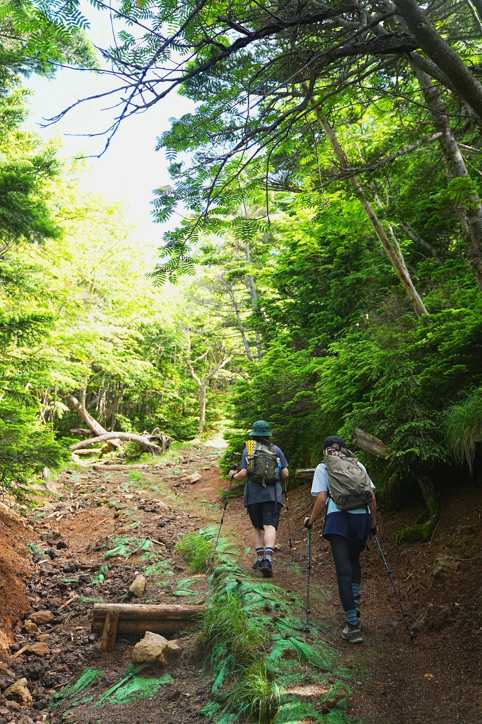 夏休みに登ろう！日光の百名山・男体山！