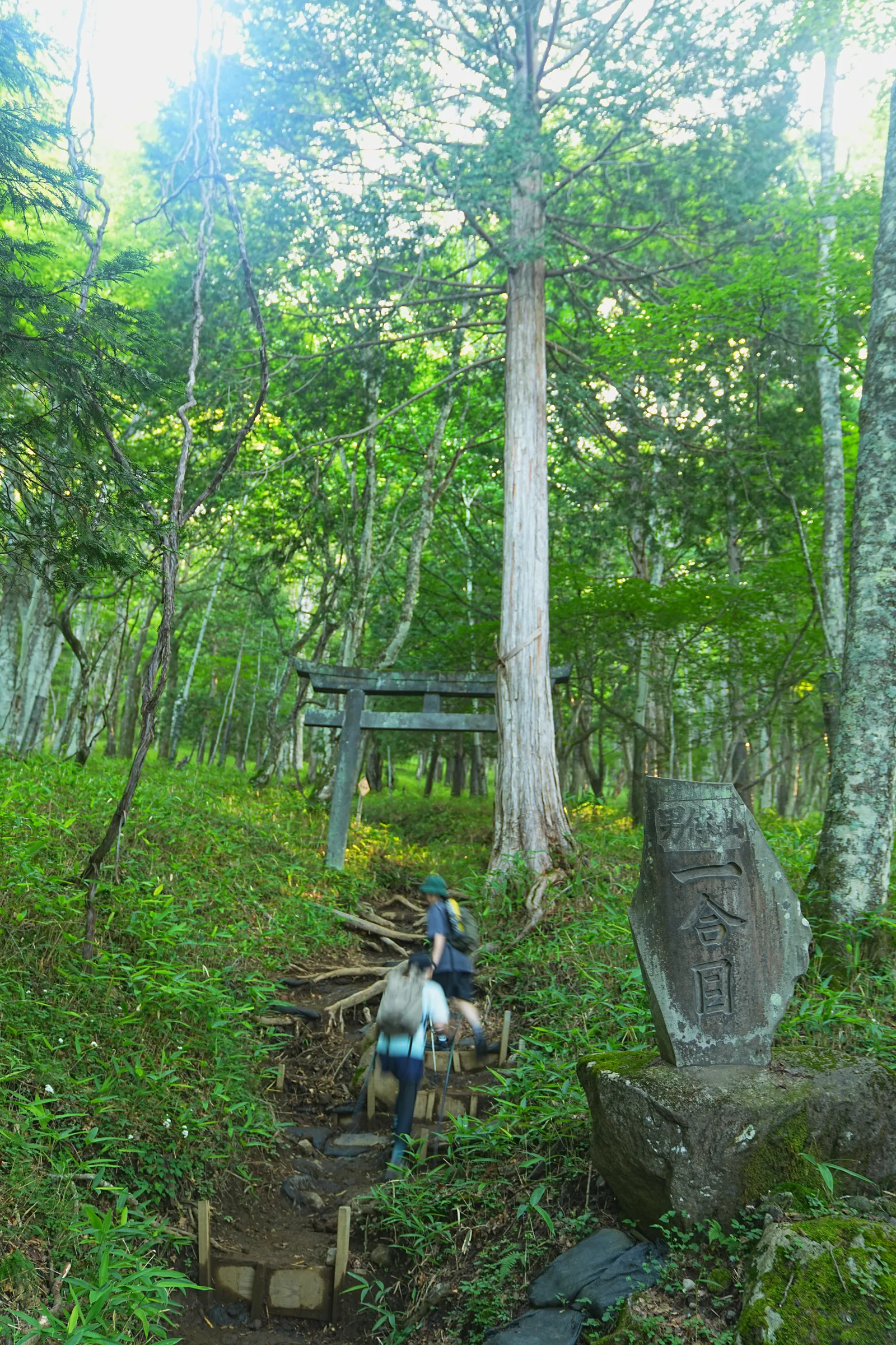 夏休みに登ろう！日光の百名山・男体山！